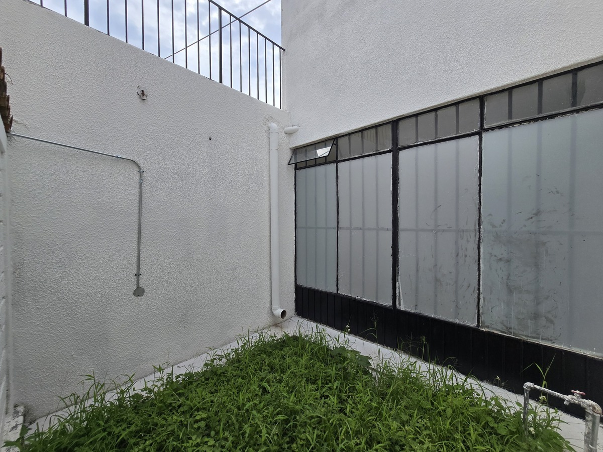 7 de 24: Jardin