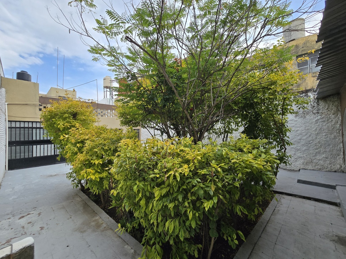 9 de 24: Patio