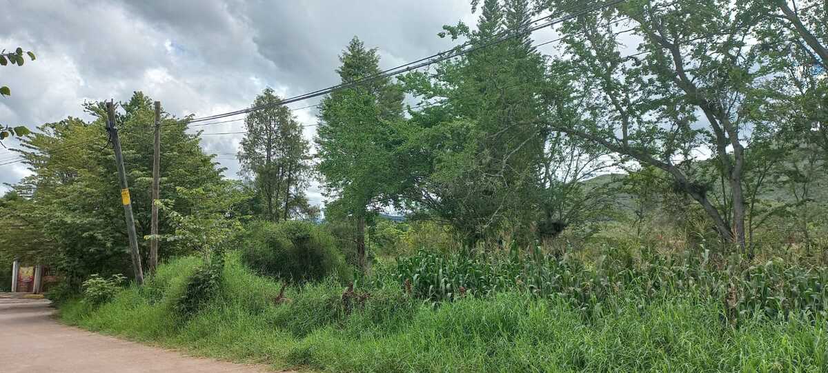 4 de 11