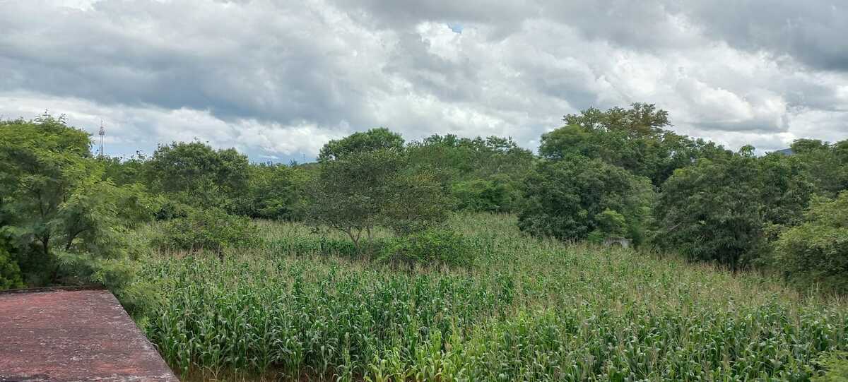 5 de 11