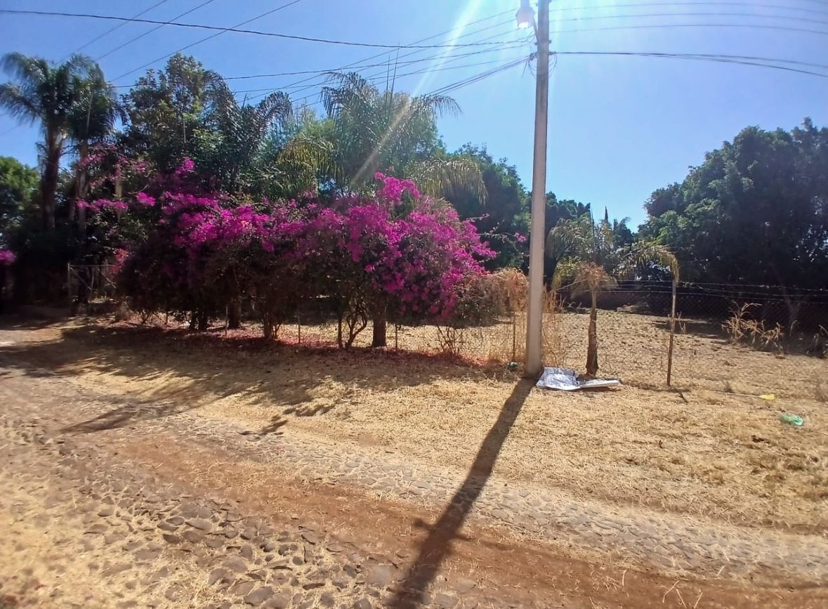 7 de 8