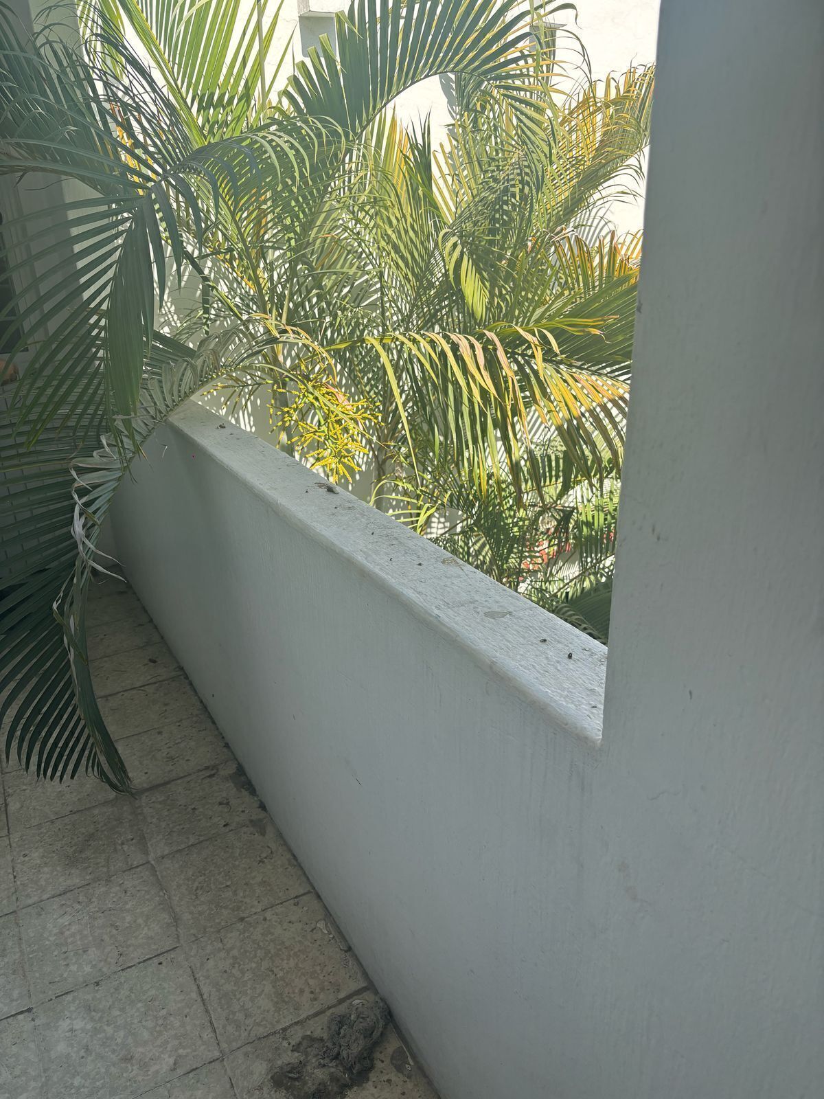 16 de 19