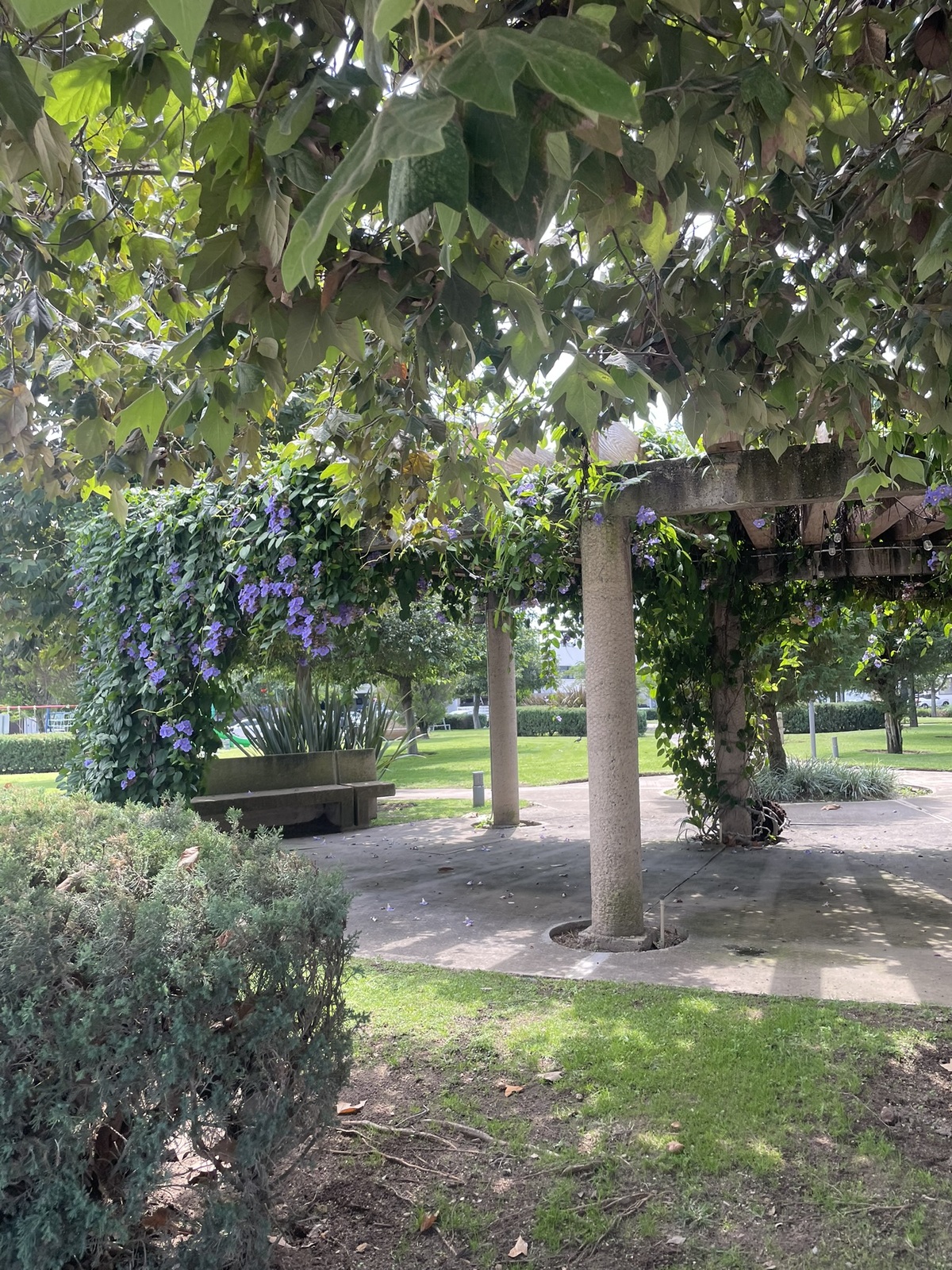 17 of 18: Cuenta con areas verdes