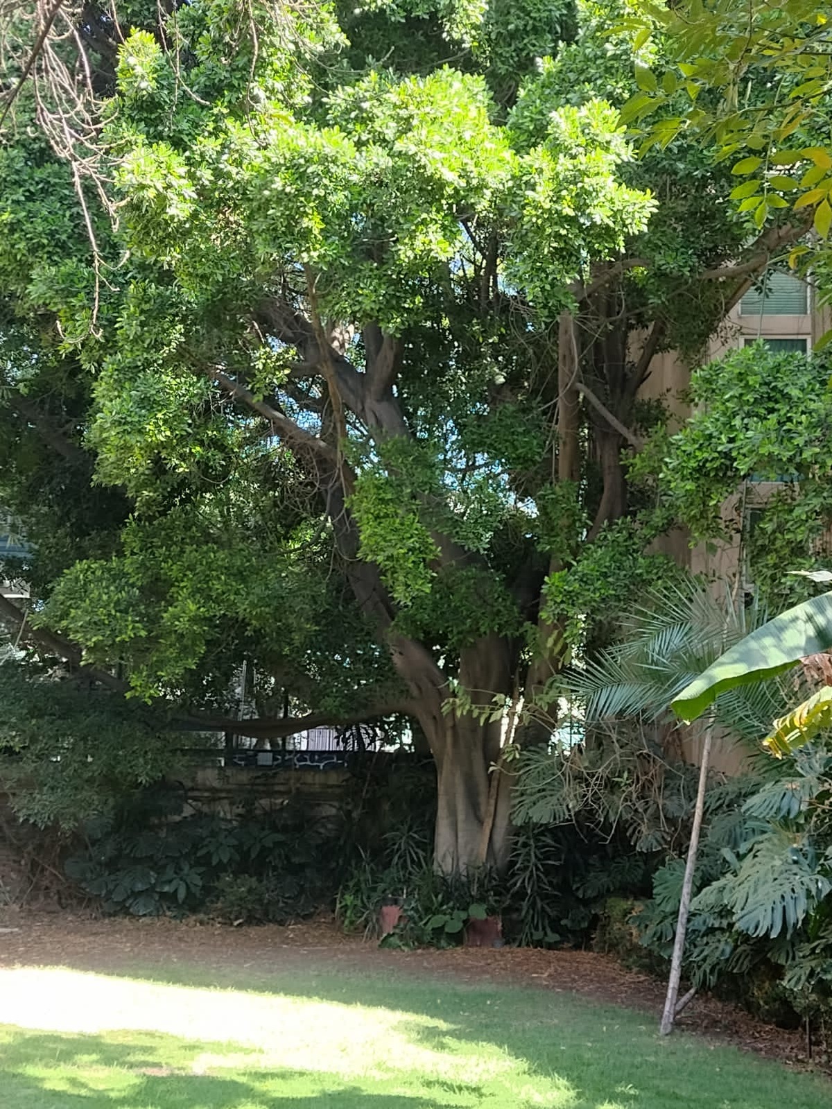 4 de 5