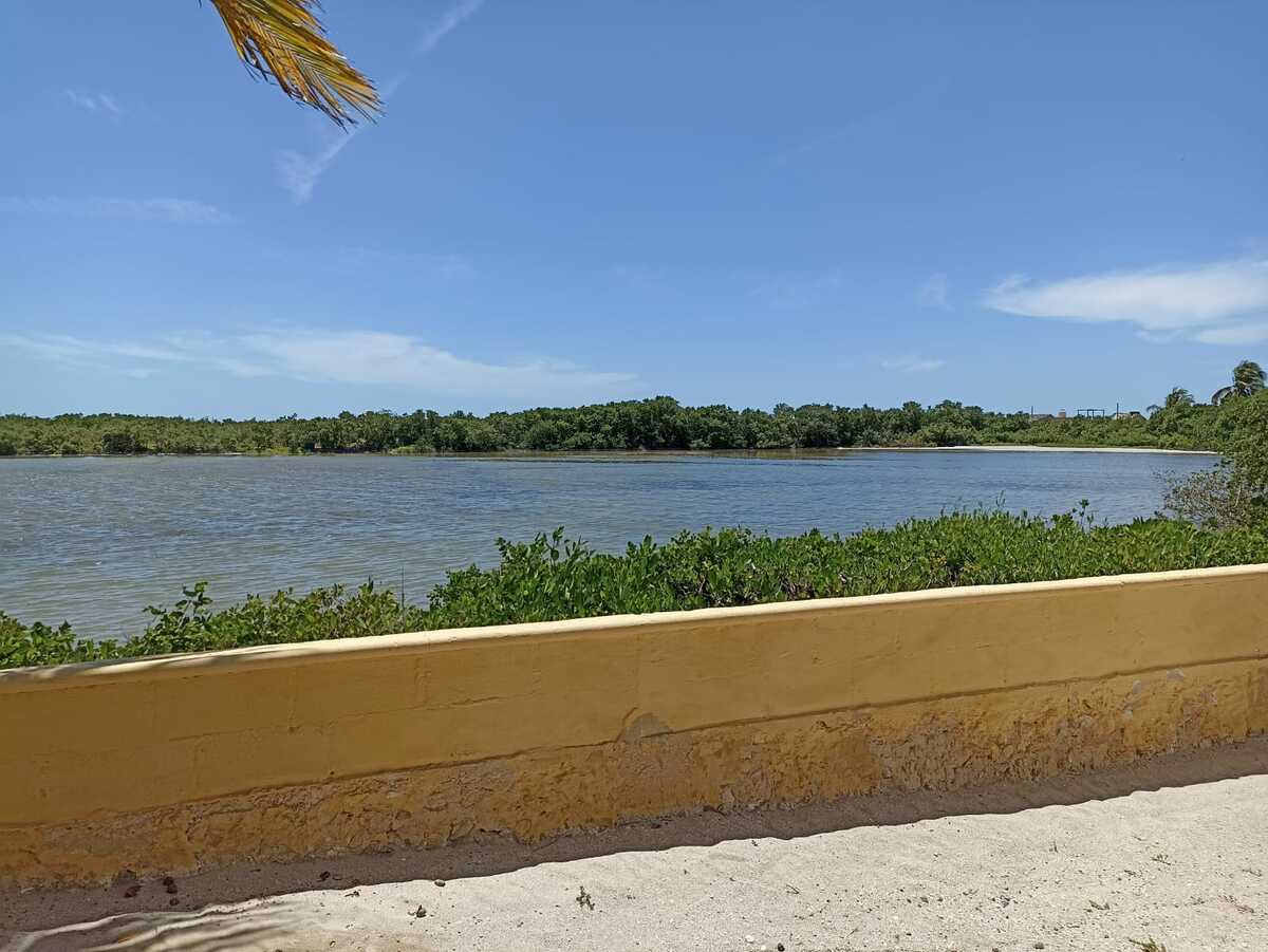 4 de 12