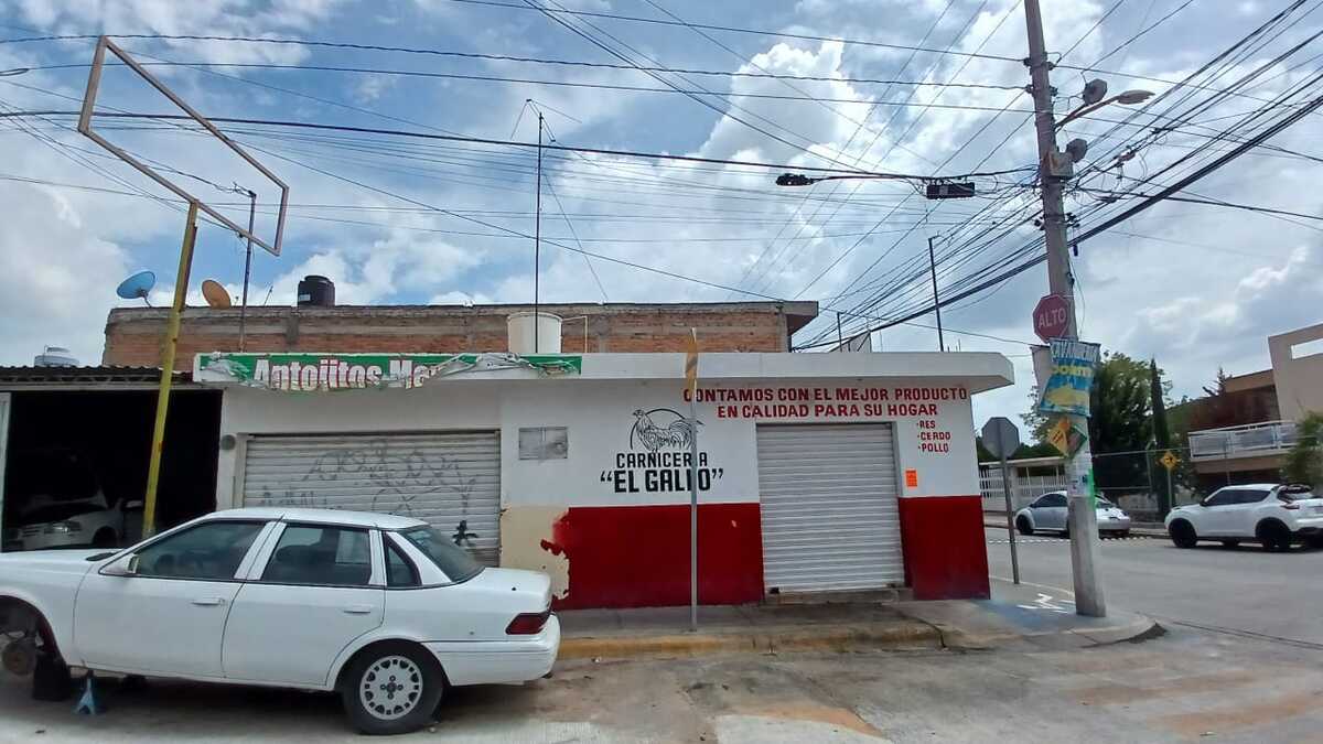 5 de 6