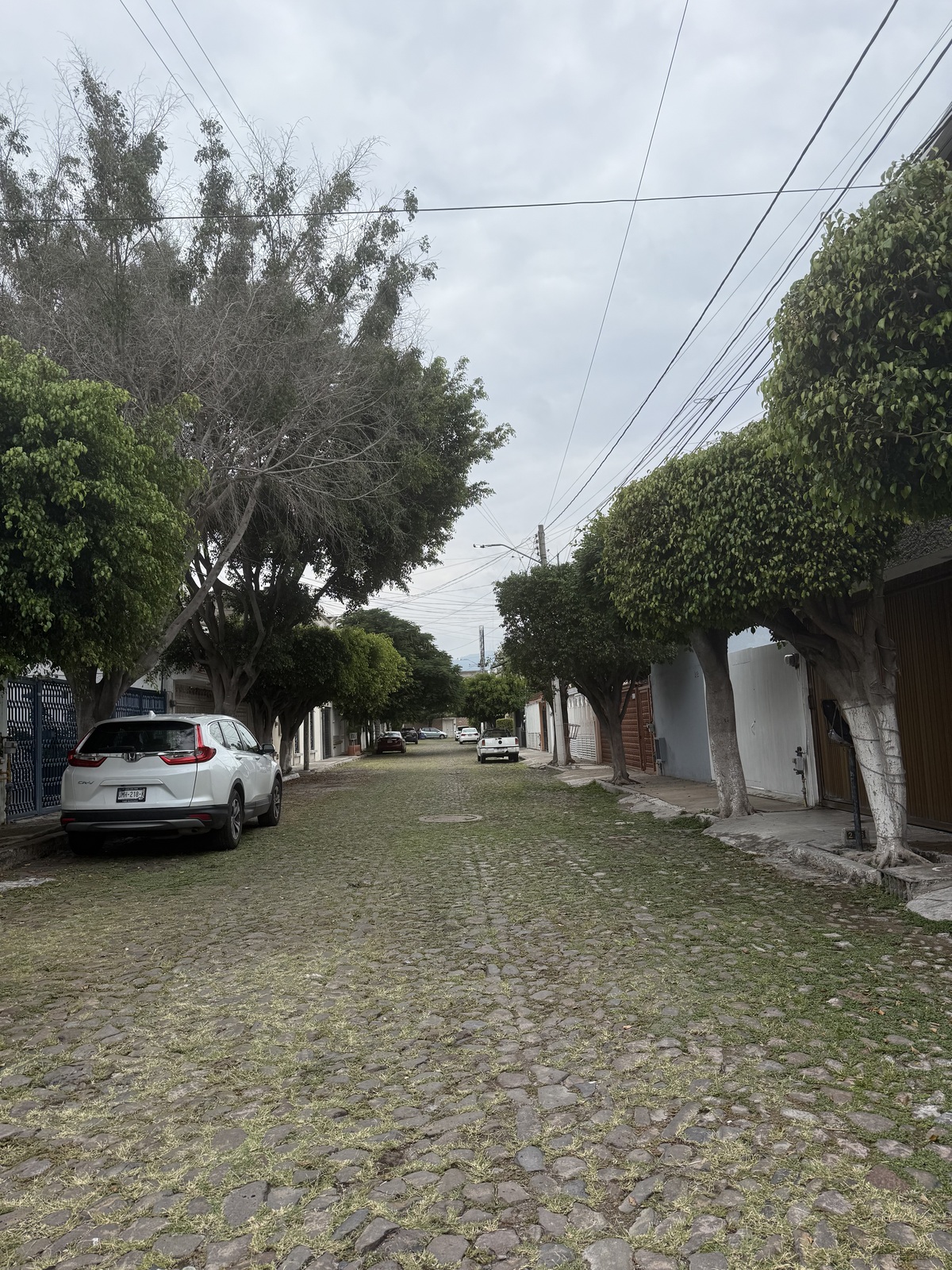 29 de 29
