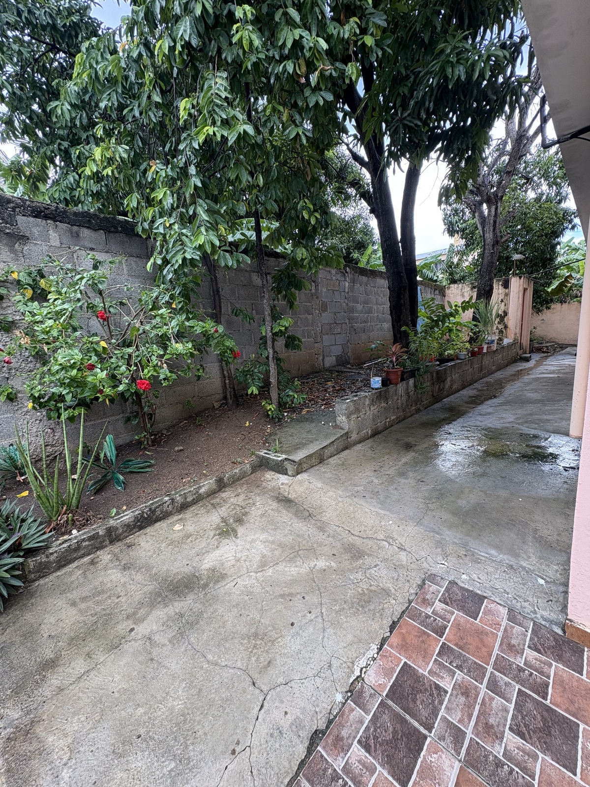 3 de 21