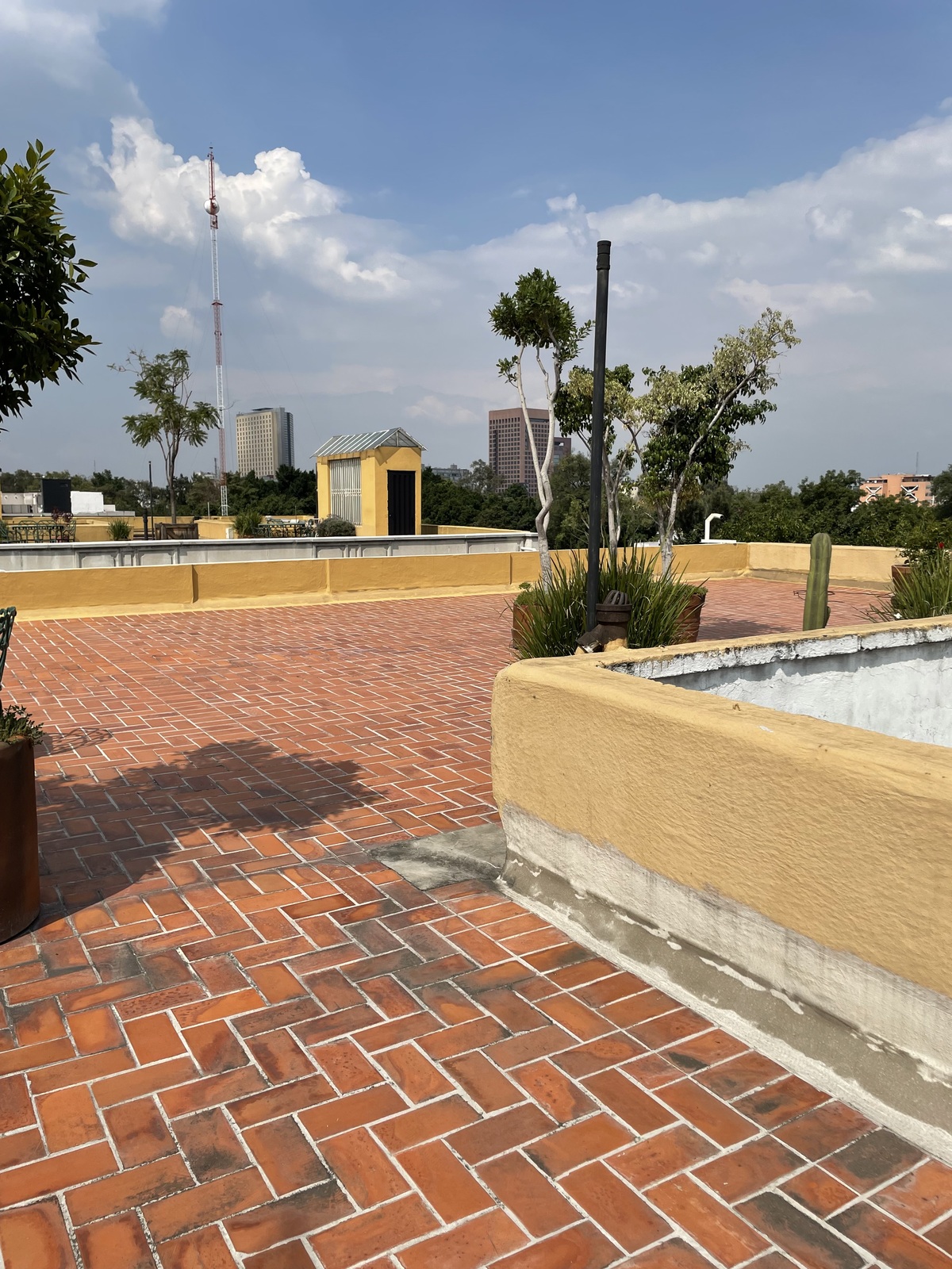34 de 36: Roof garden
