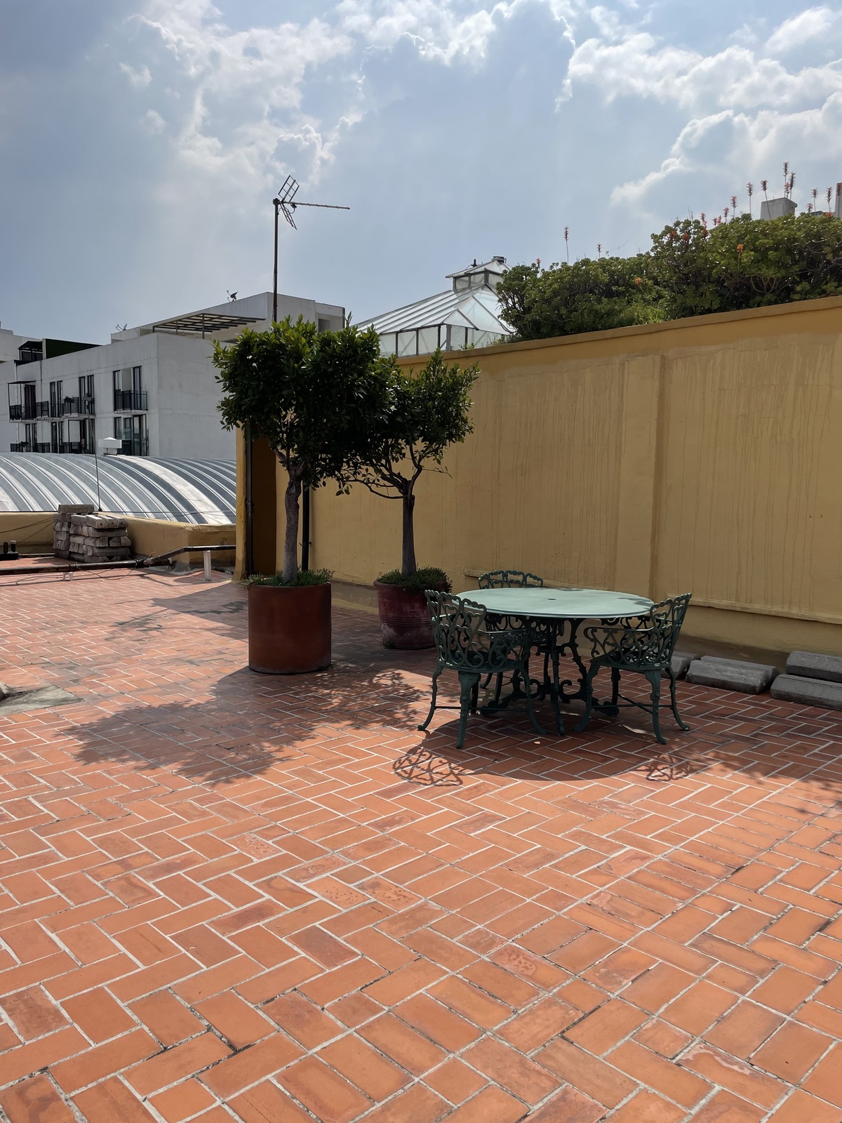35 de 36: Roof garden