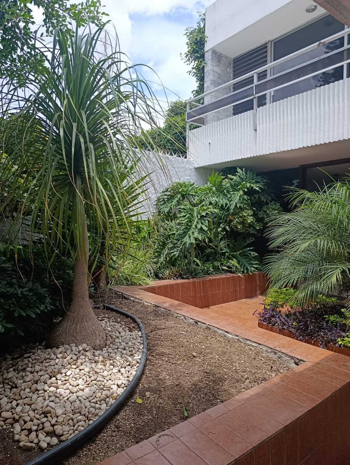 3 of 33: Jardín de la cochera en la entrada a la casa