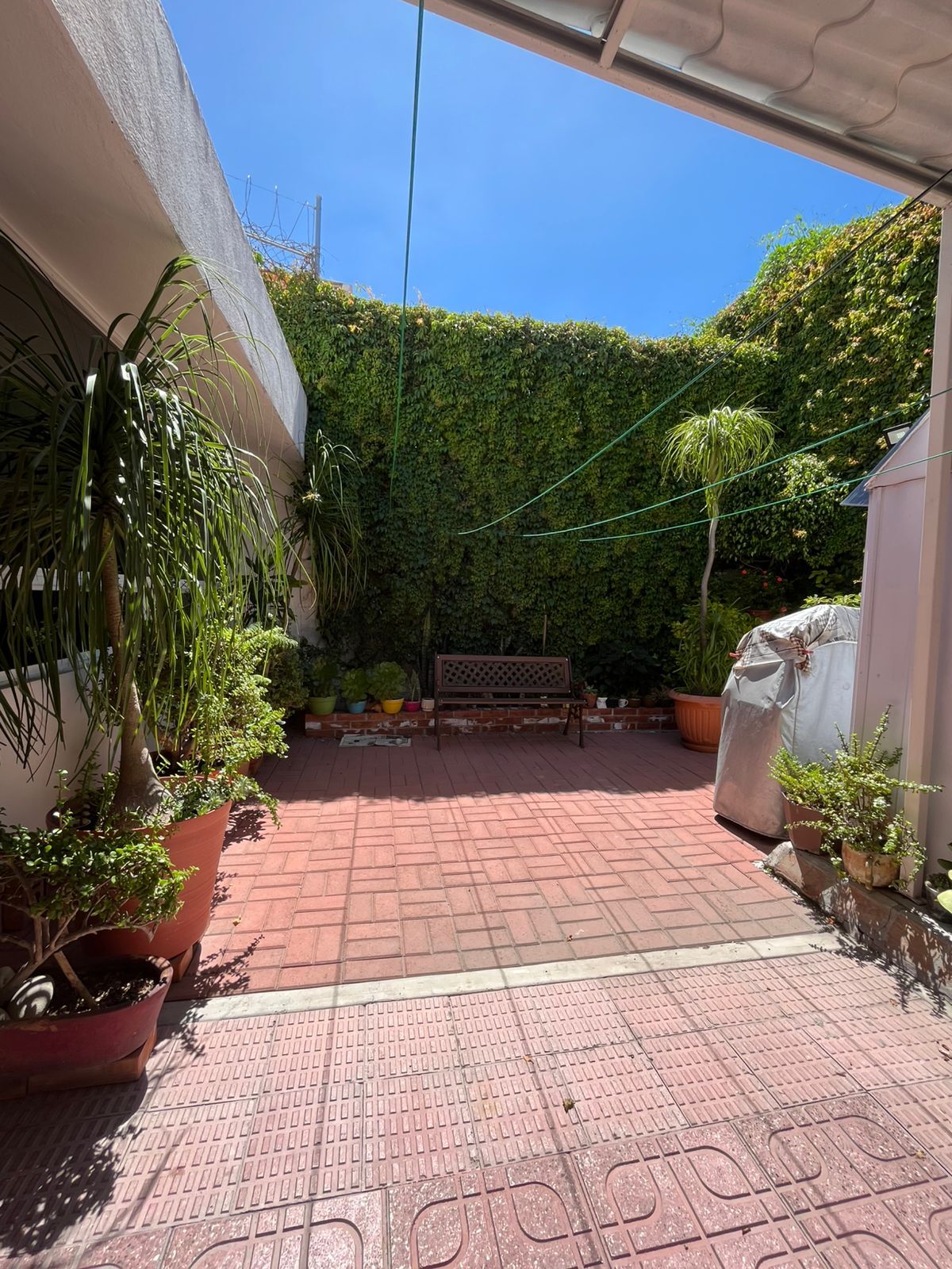 13 de 24