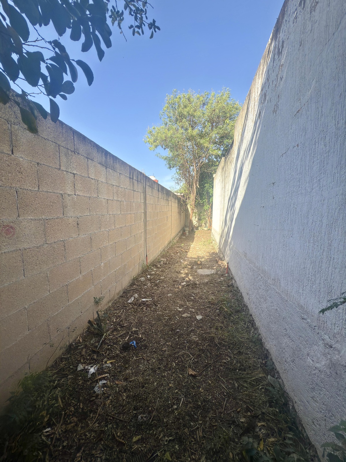 10 de 17