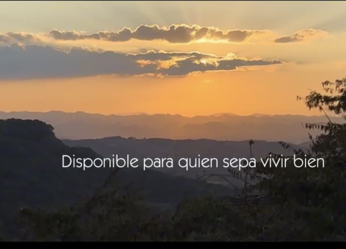 5 de 5