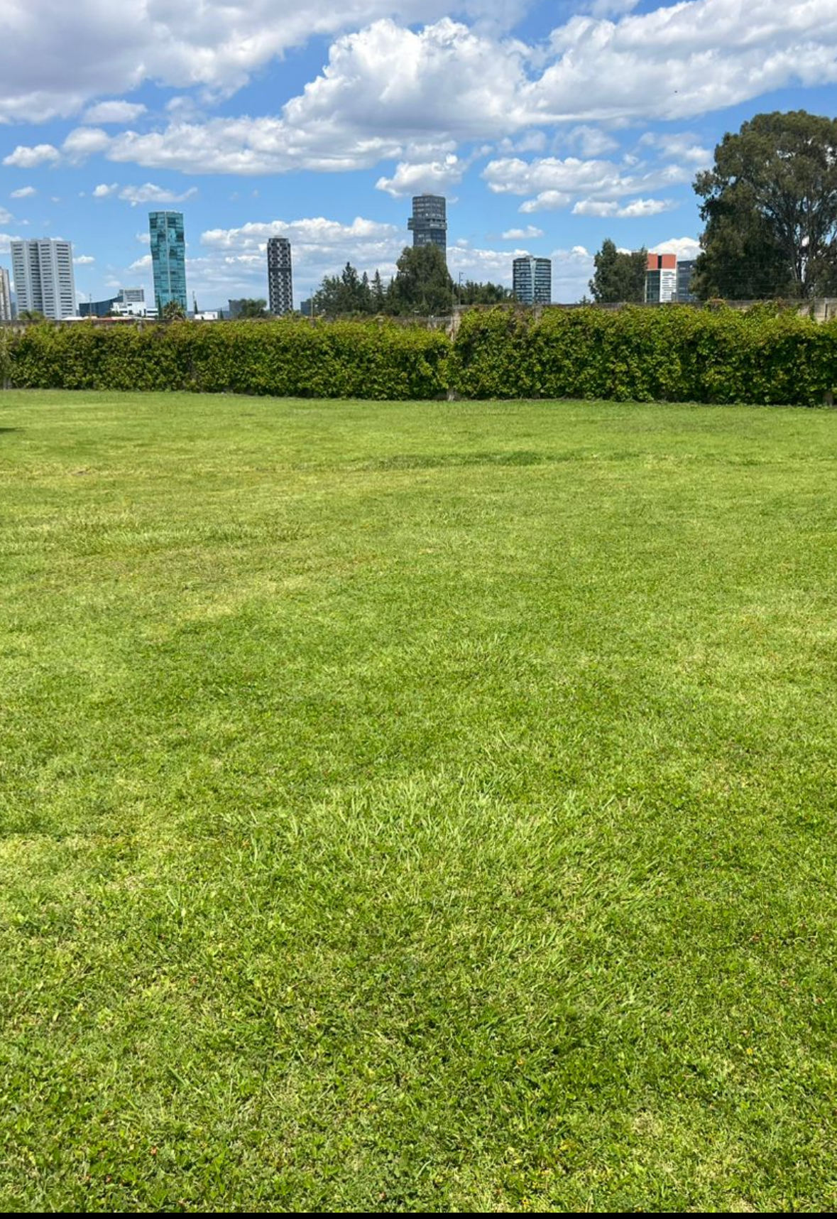 2 de 3