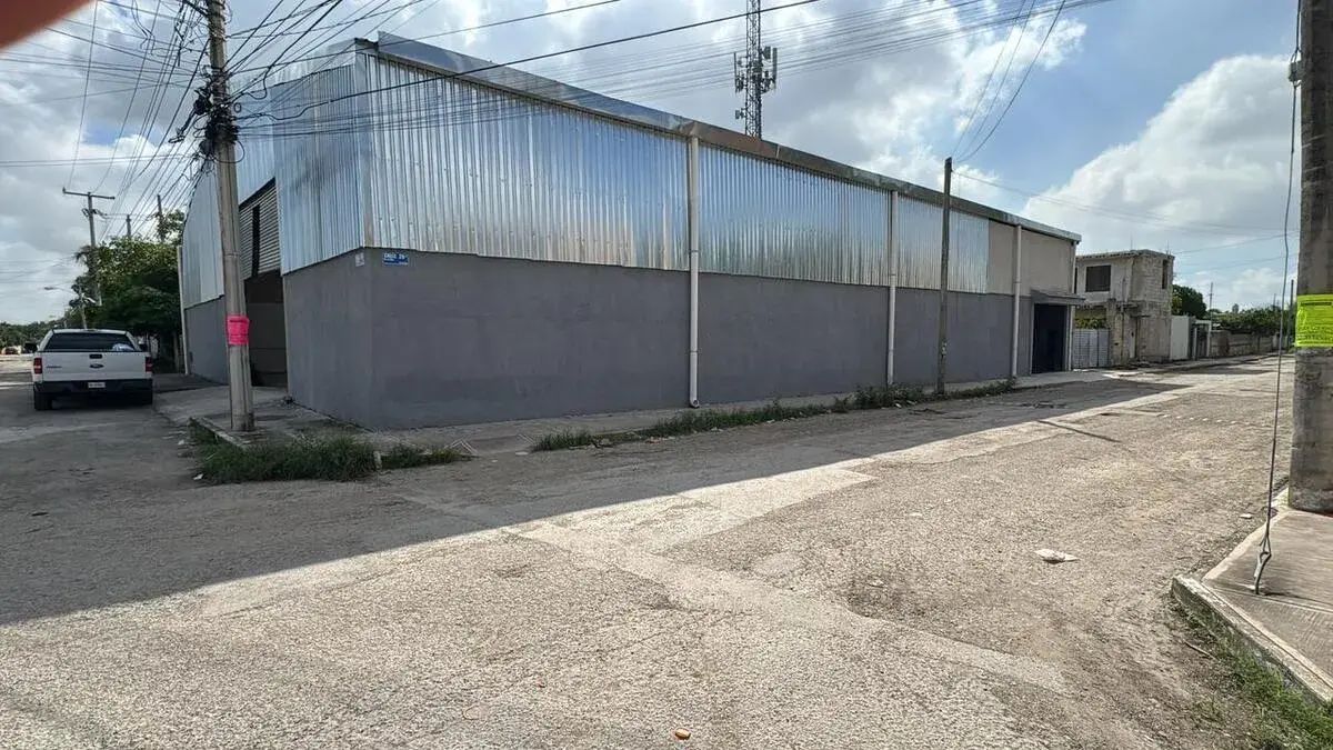 11 de 11