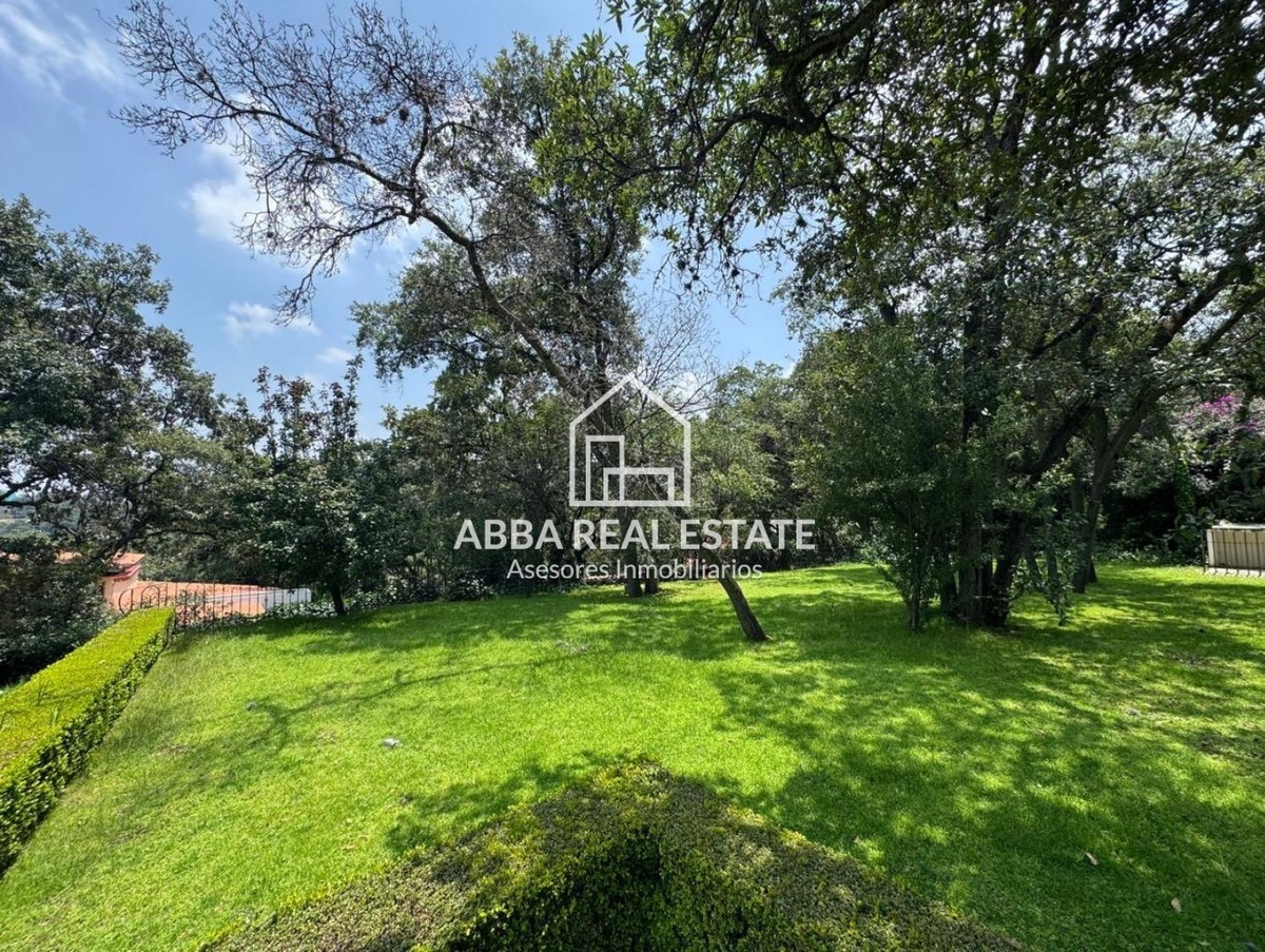 43 de 44