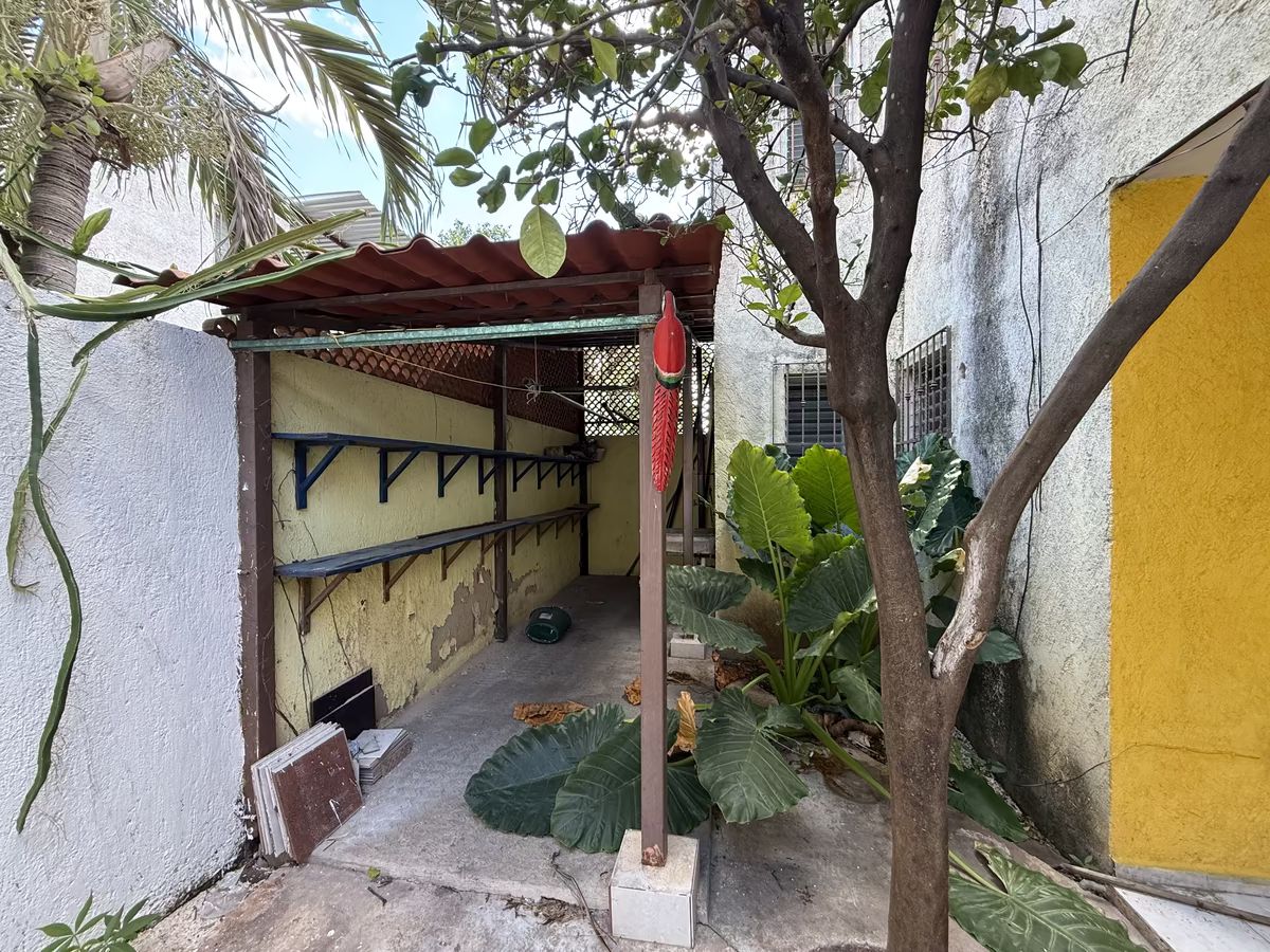12 de 29