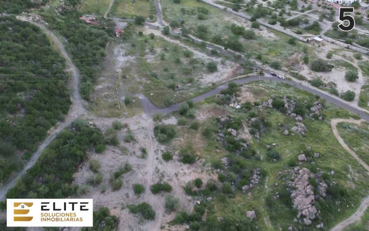 3 de 7