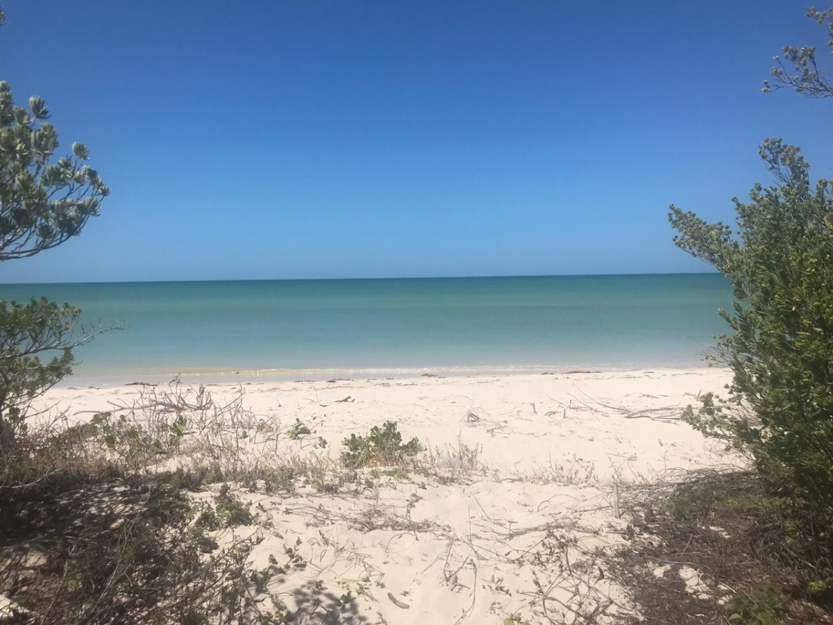 1 de 17