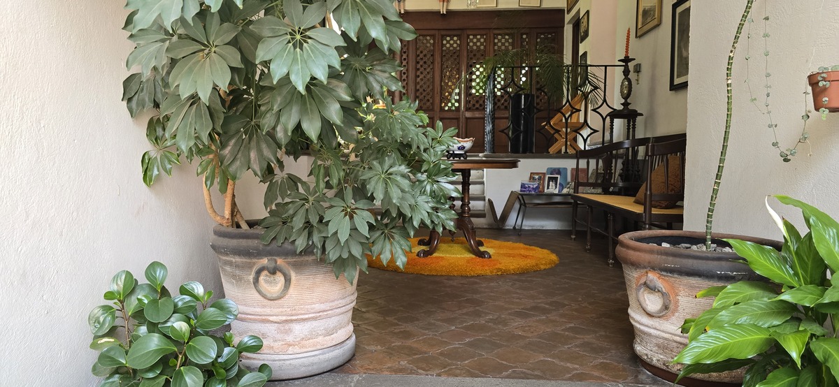 3 de 42: Casa en Venta en San Ángel Rayo Vende ®