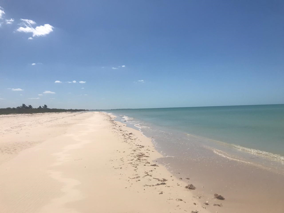 1 de 17