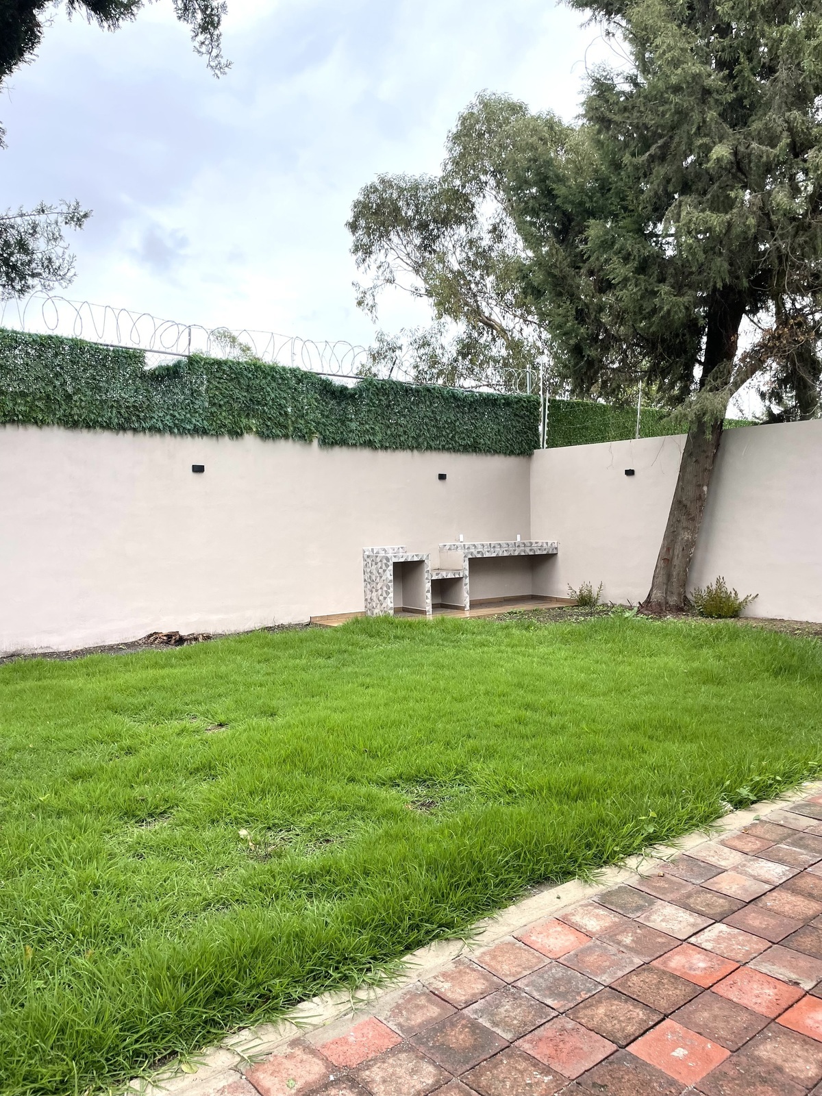 16 de 29