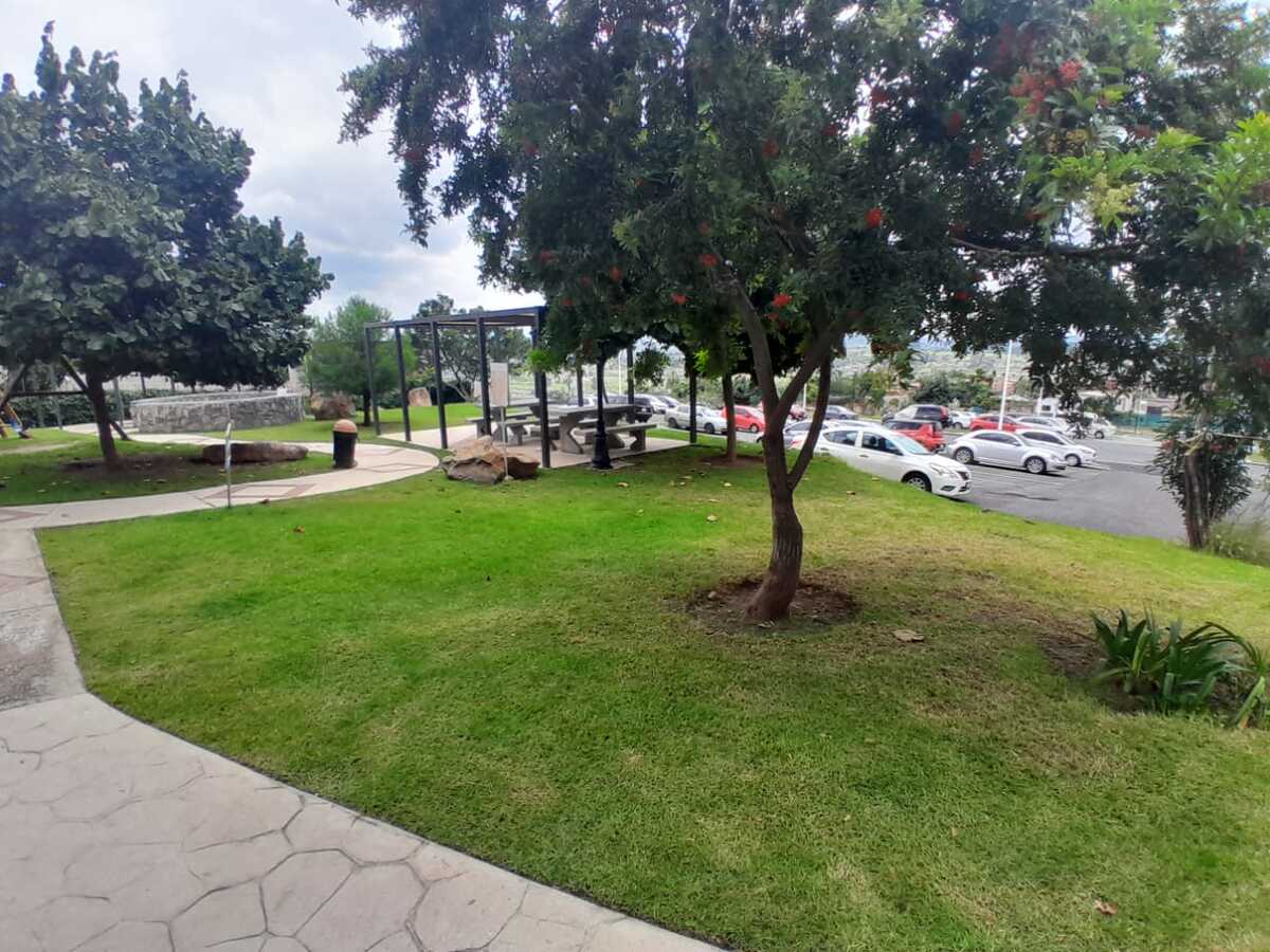 2 de 13