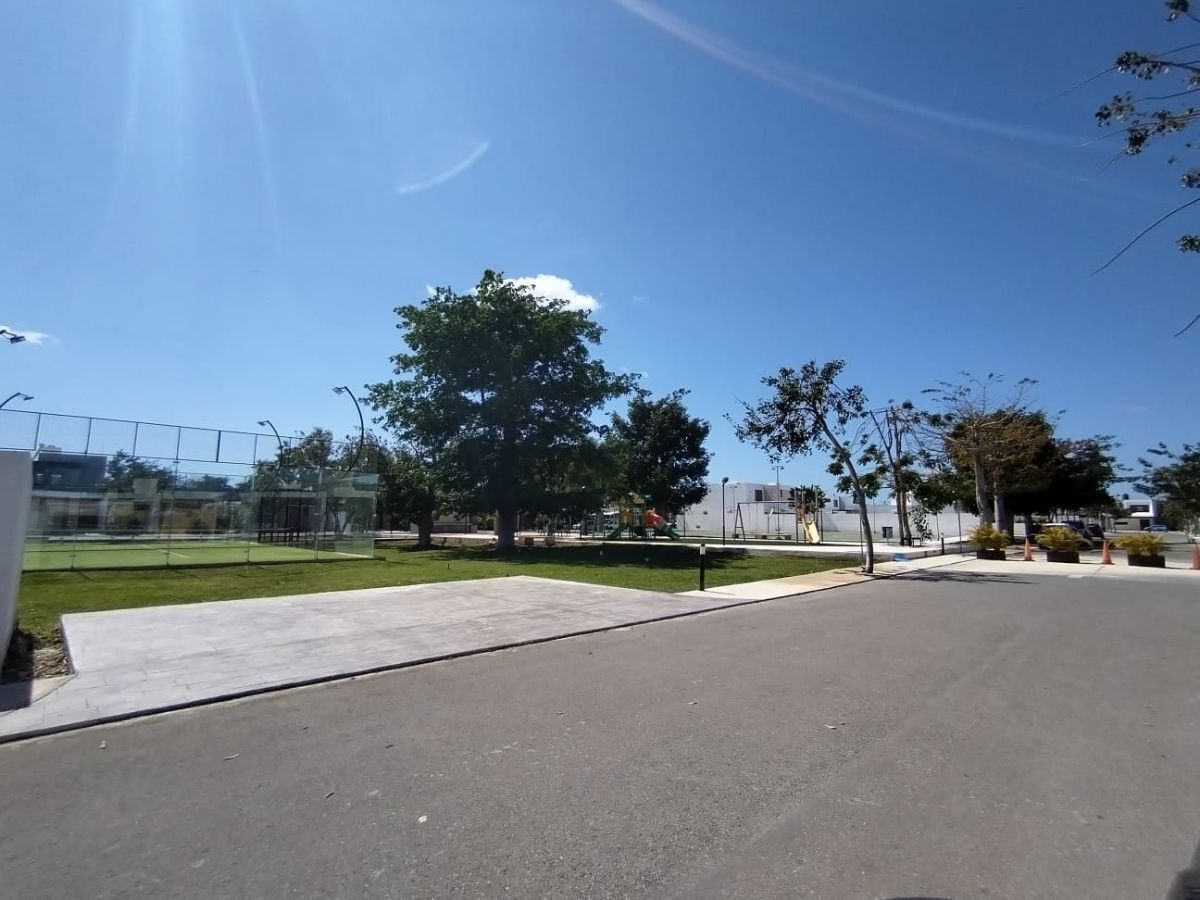 38 de 43