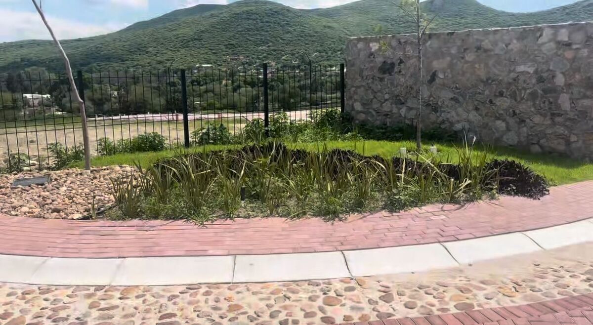 11 de 43