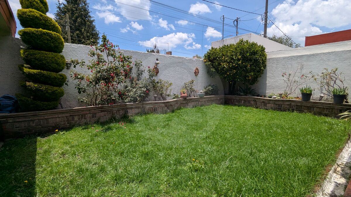 7 de 26
