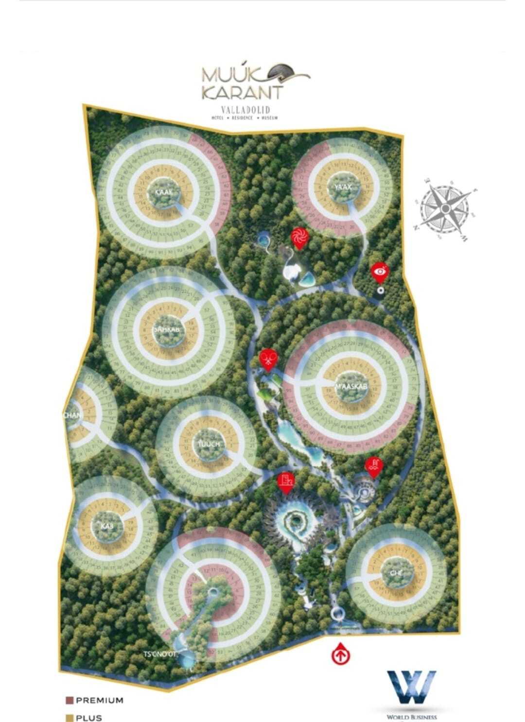 5 de 6