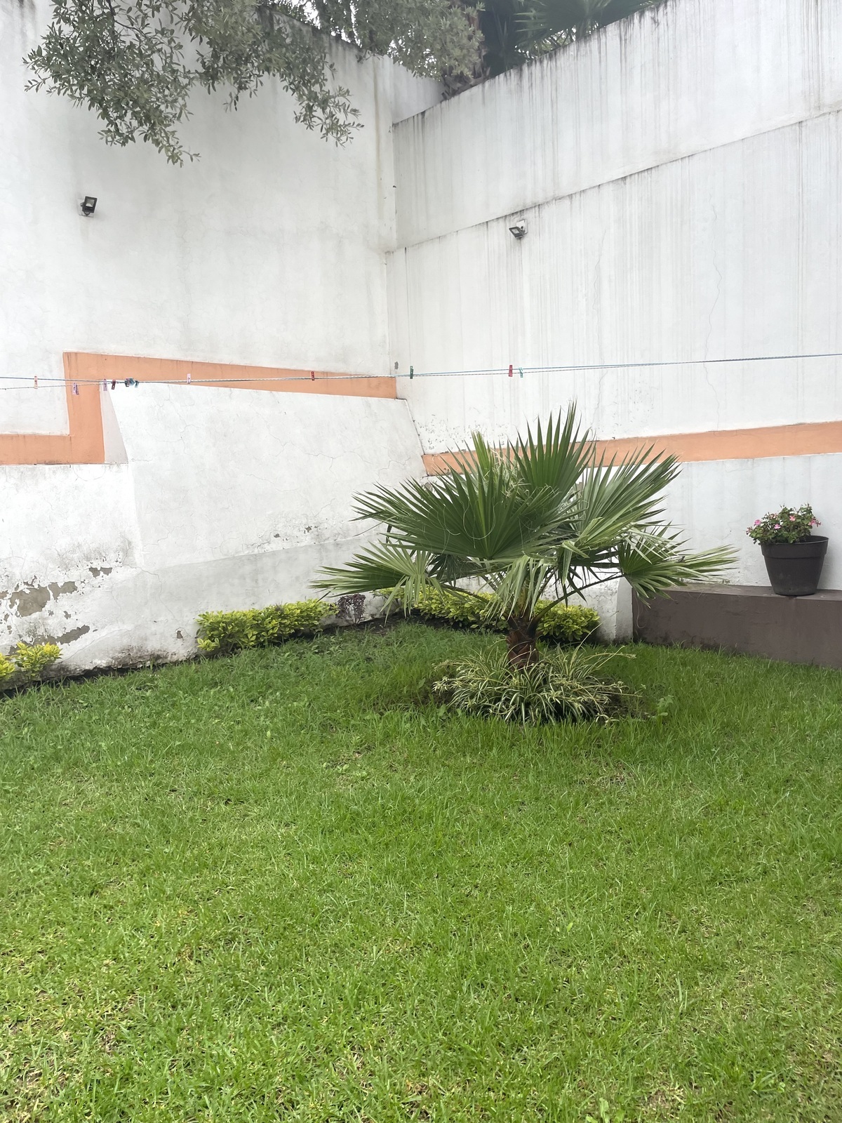 21 de 29