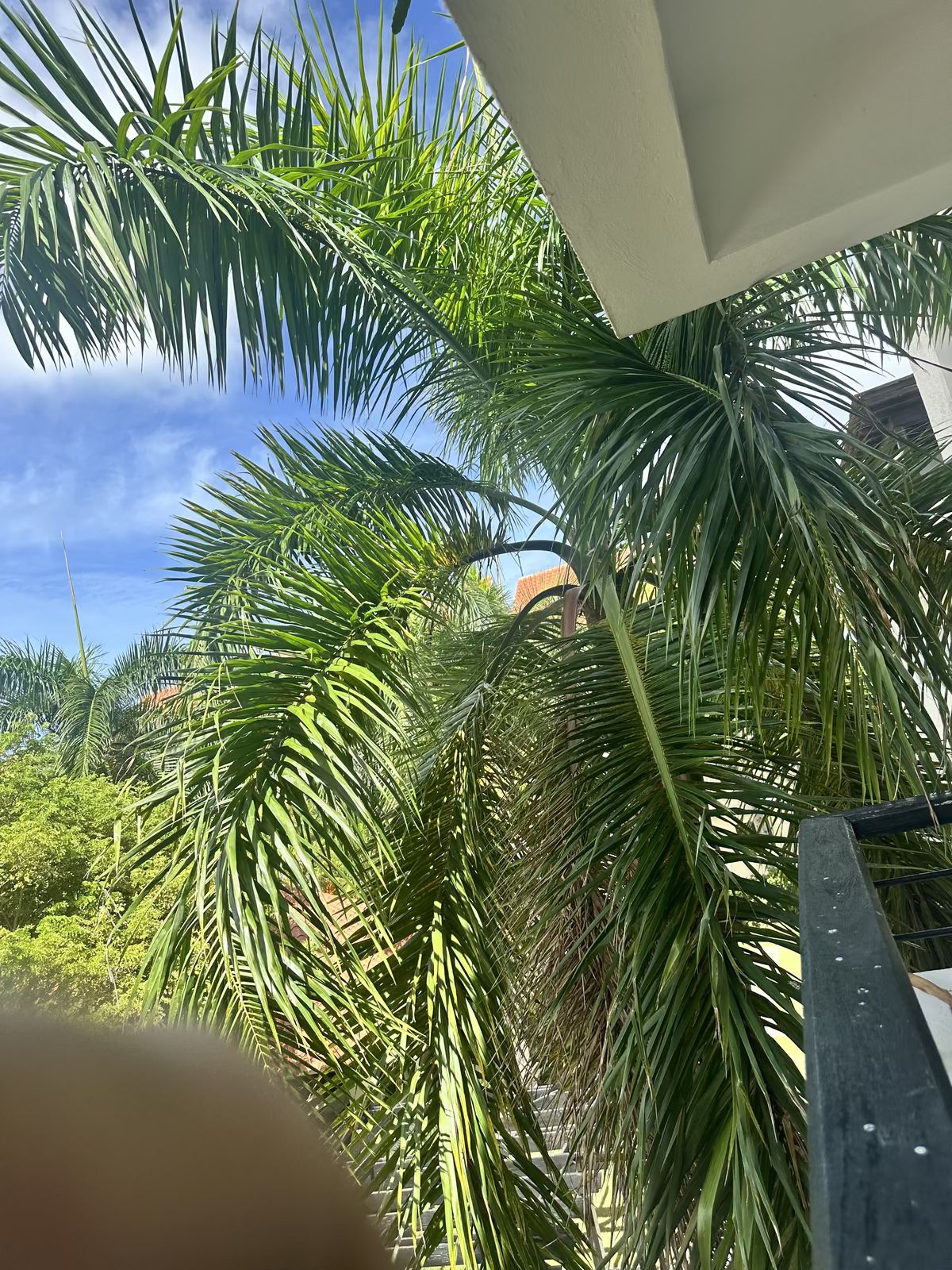 3 de 26