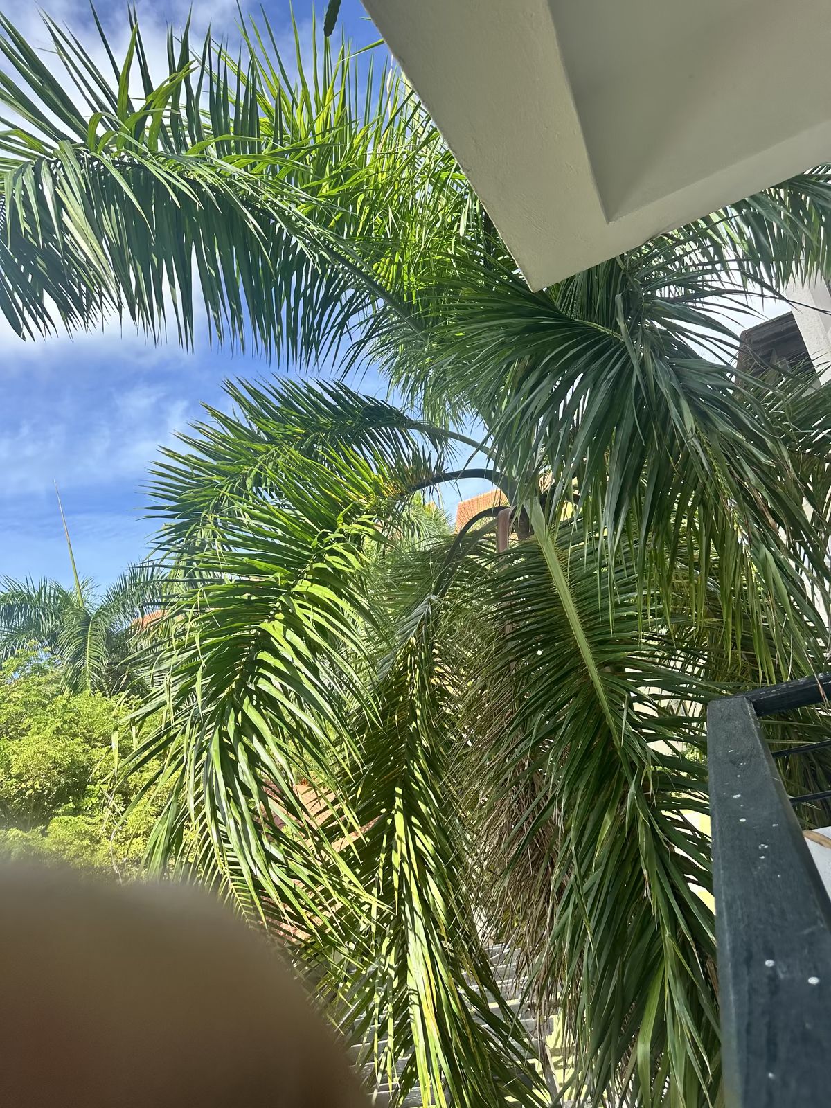 6 de 26