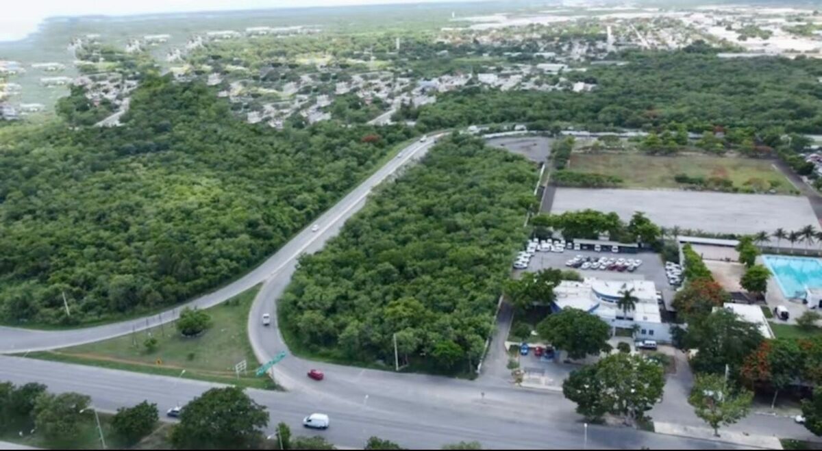 4 de 4