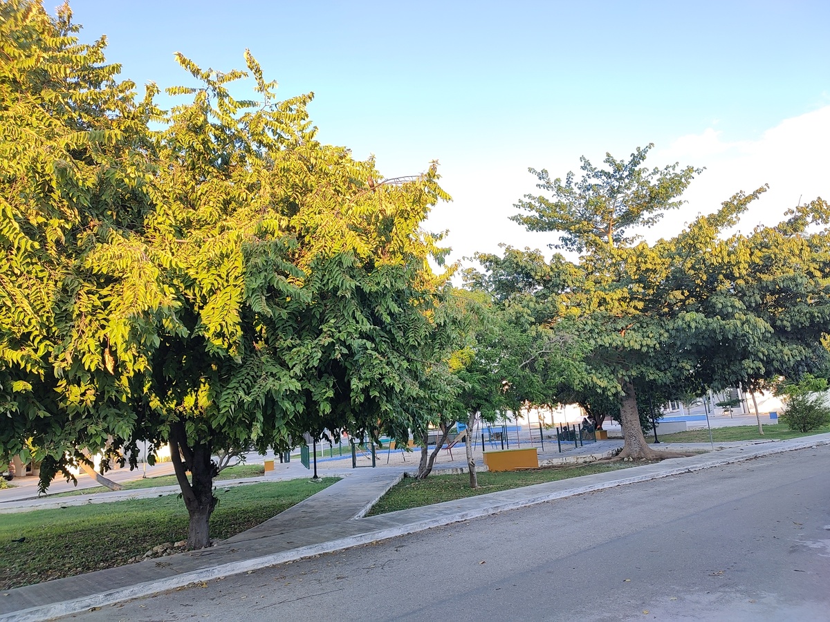 3 of 10: Parque