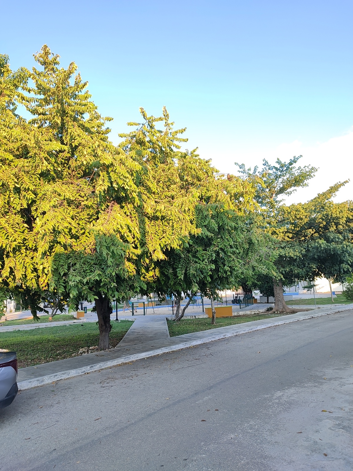 4 of 10: Parque