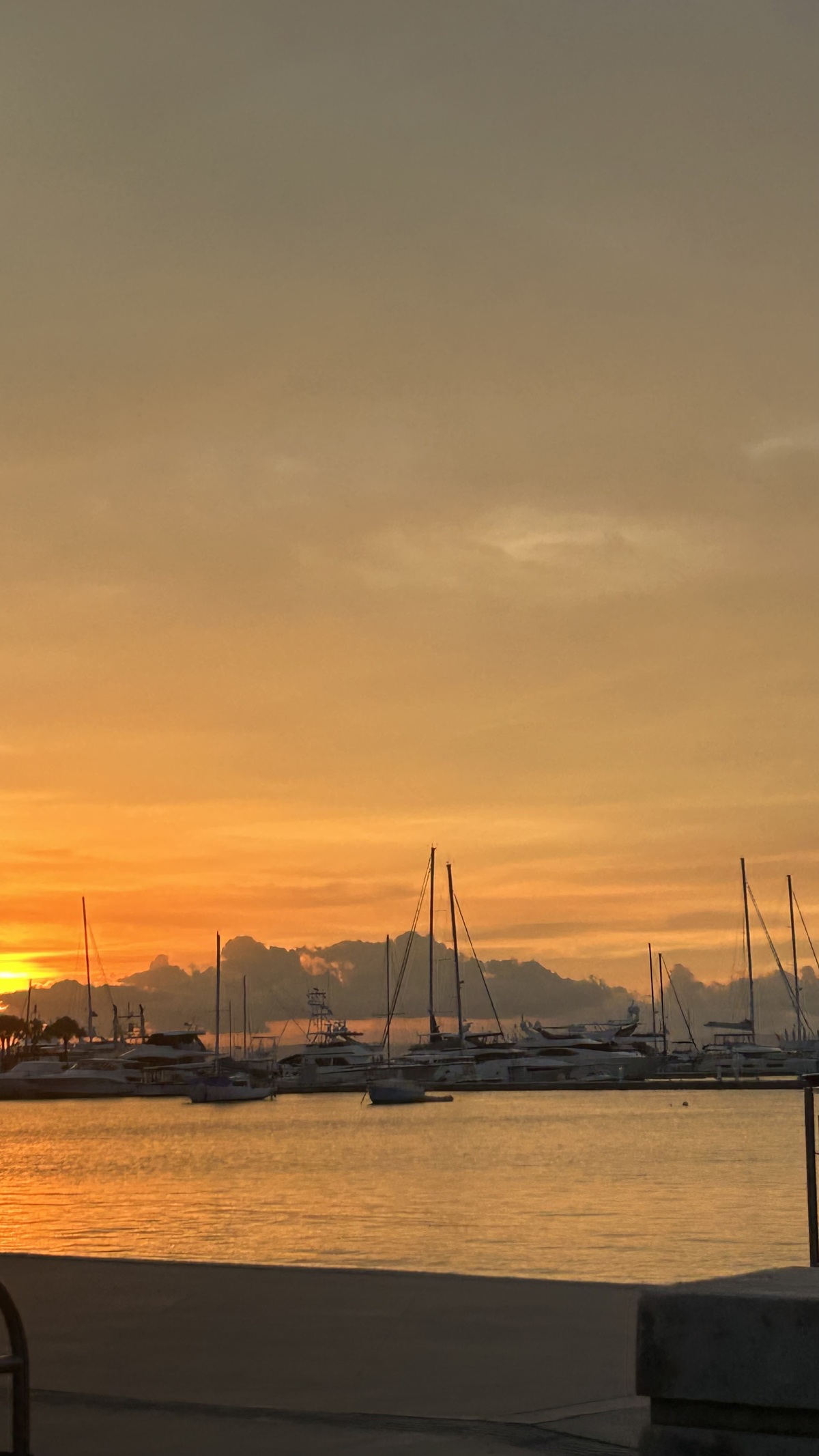 33 de 37: Sus vistas desde la terraza