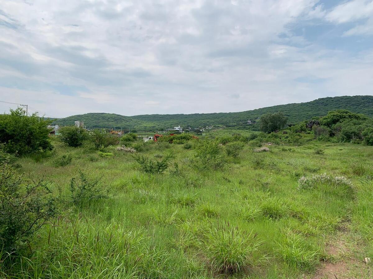 5 de 6: Foto tomada desde el lote viendo hacia atrás del lote