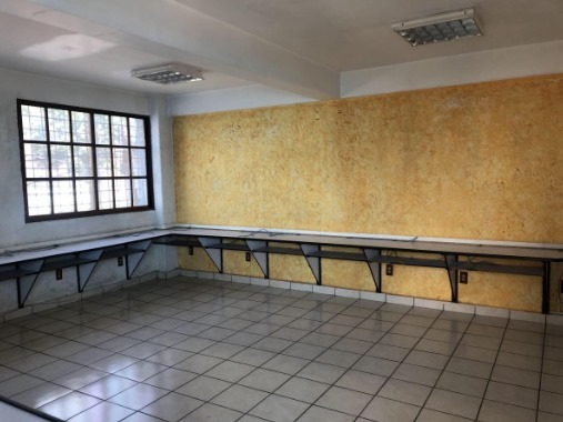 8 de 12