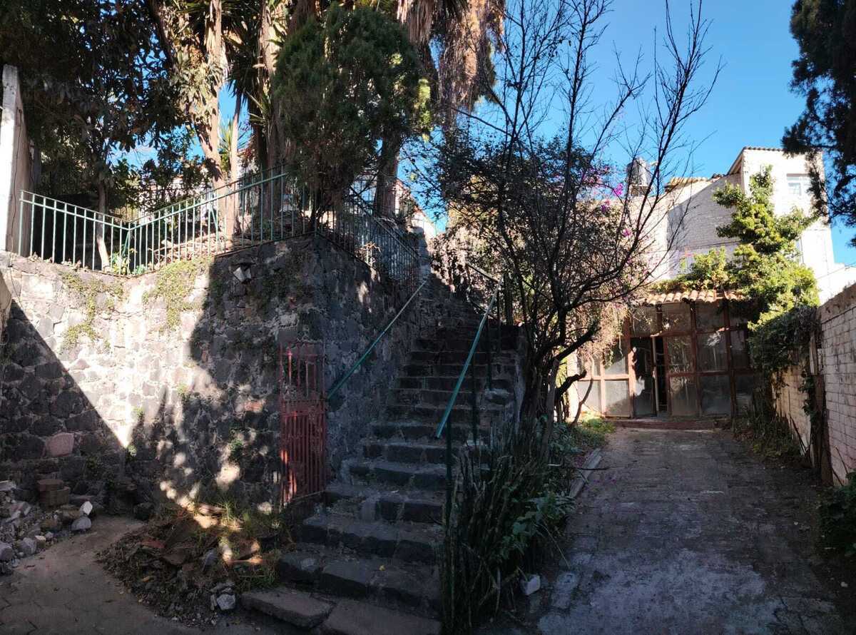 3 de 12