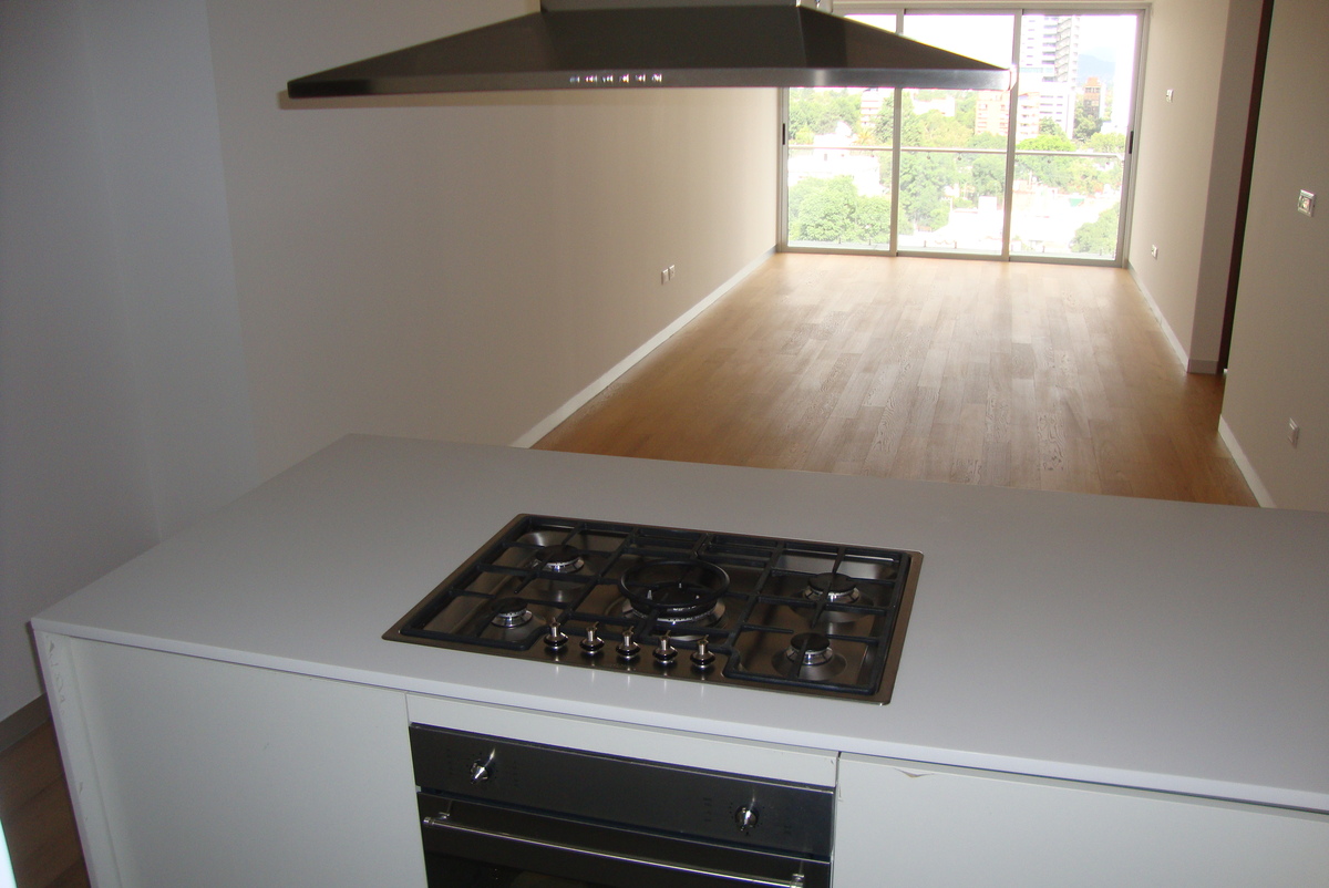 5 de 13: Cocina vista a la estancia