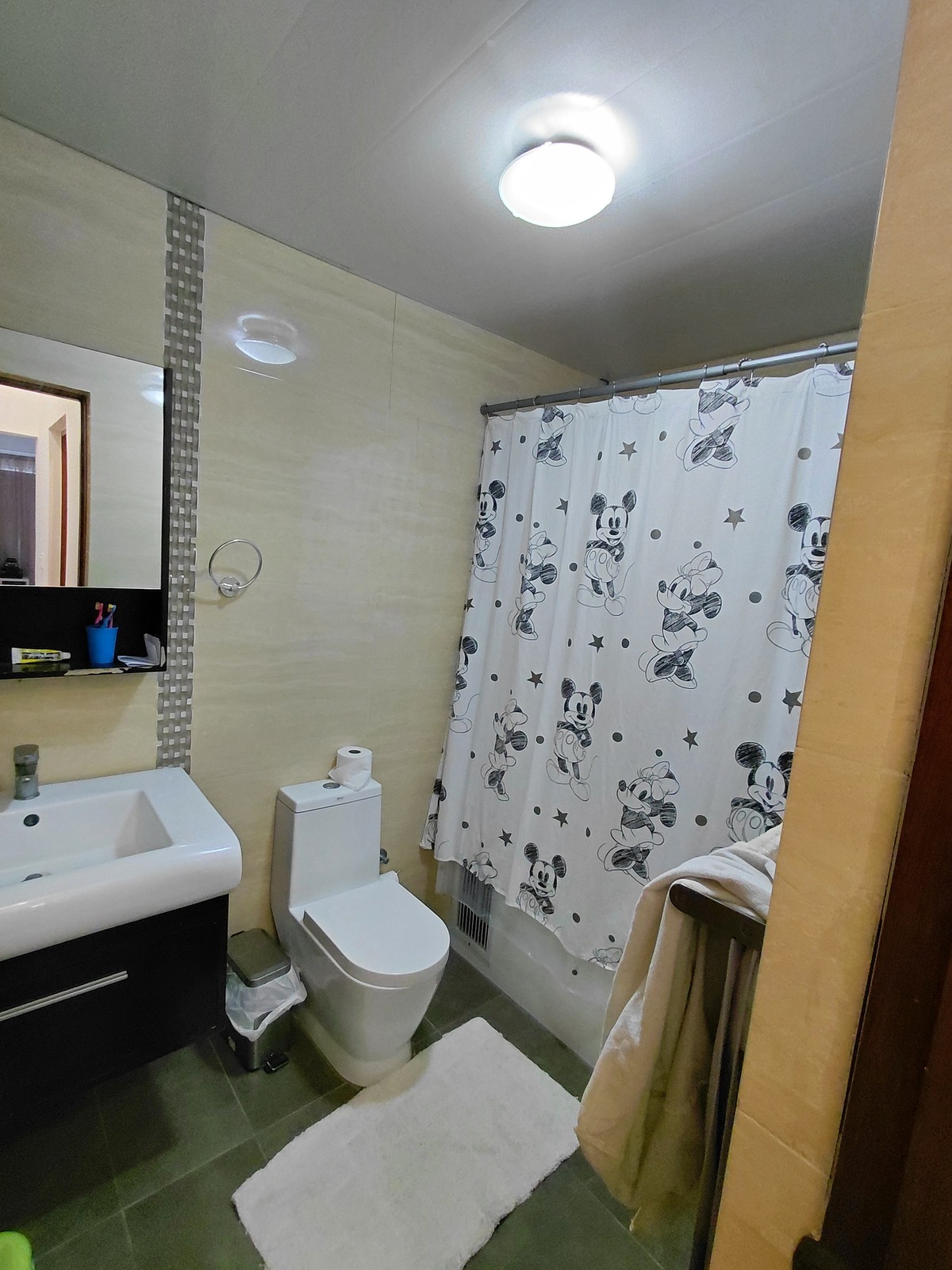 14 de 27: Baño hab. principal