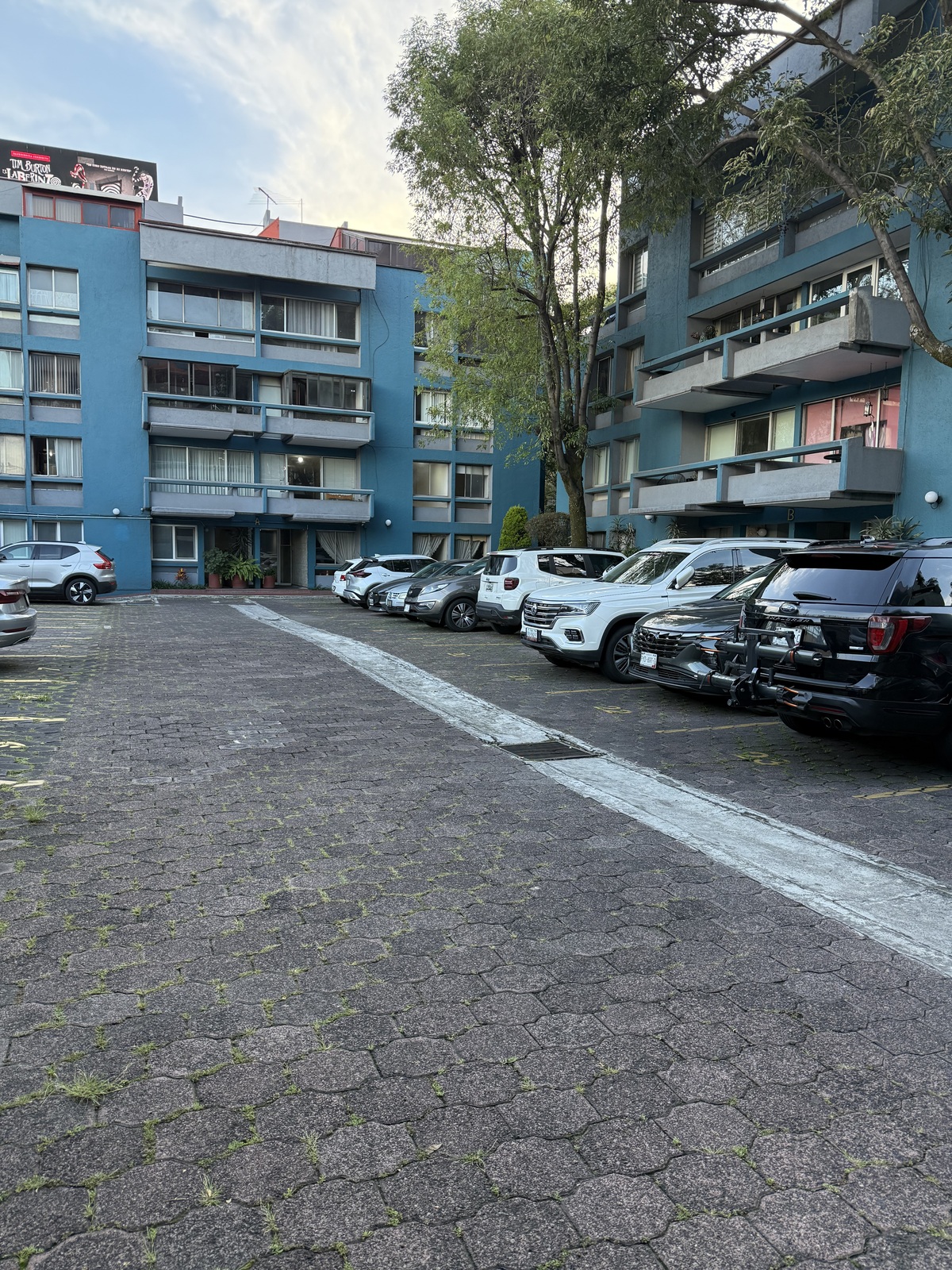 1 de 8