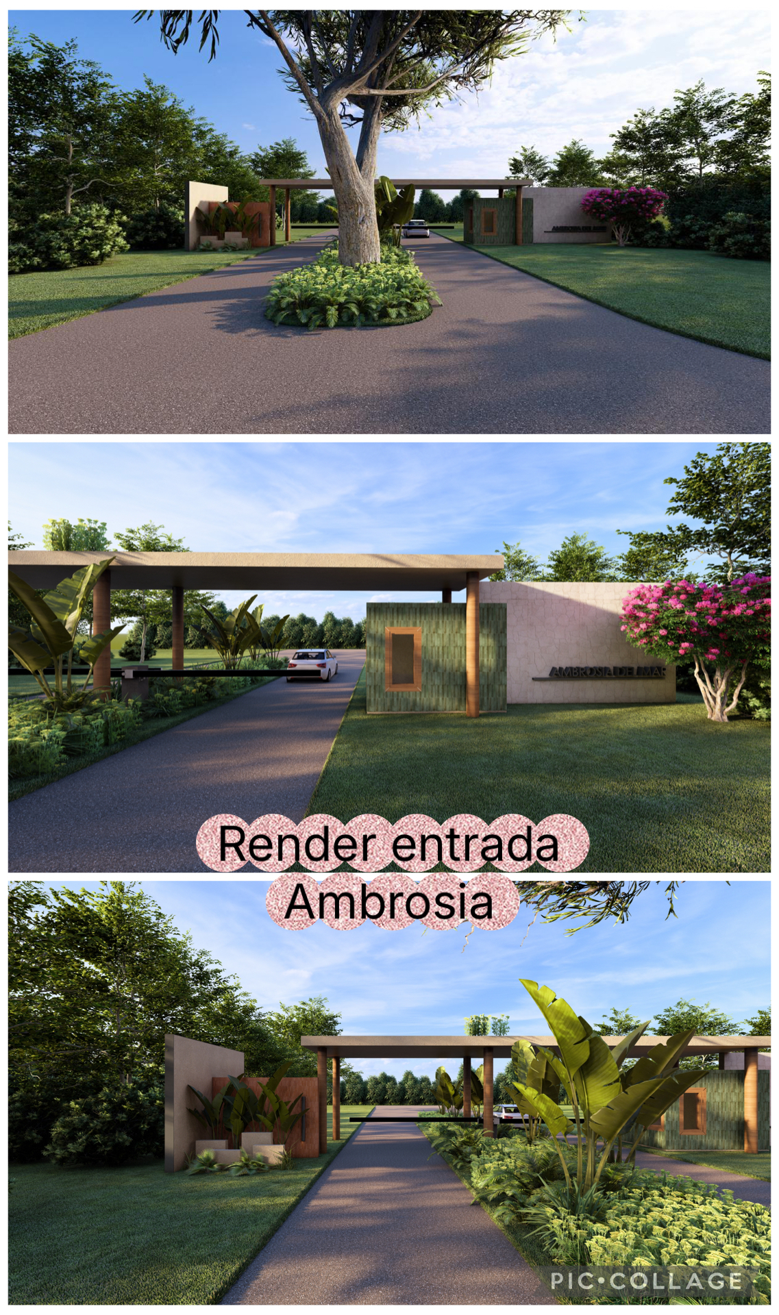 2 de 6