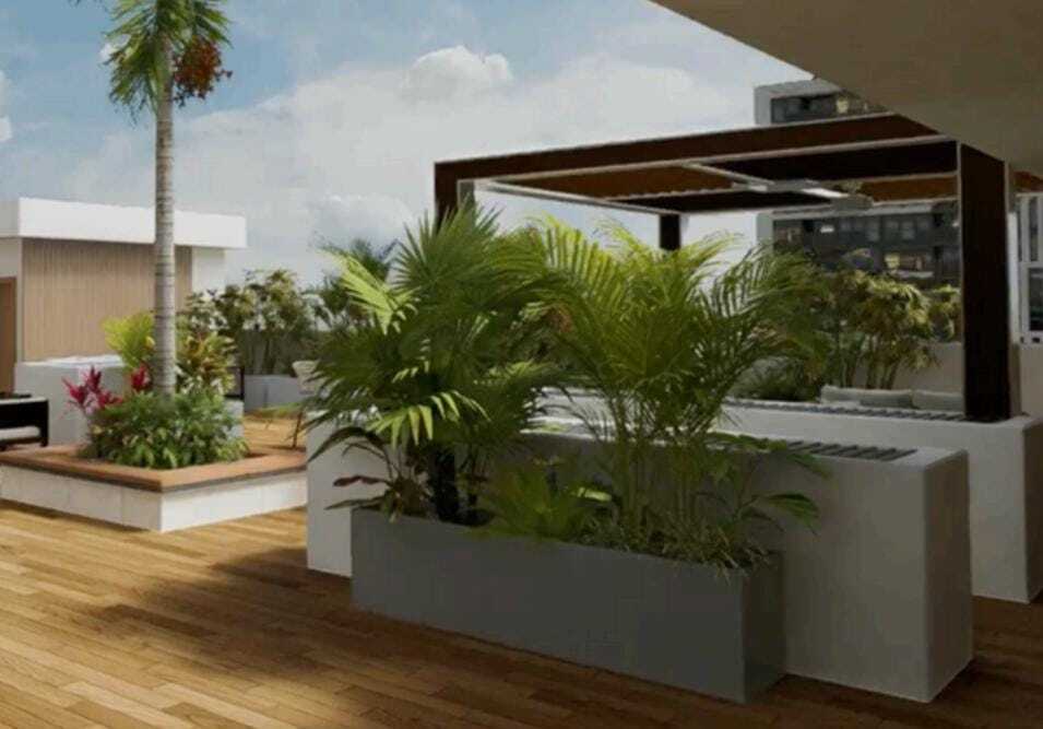 7 de 12