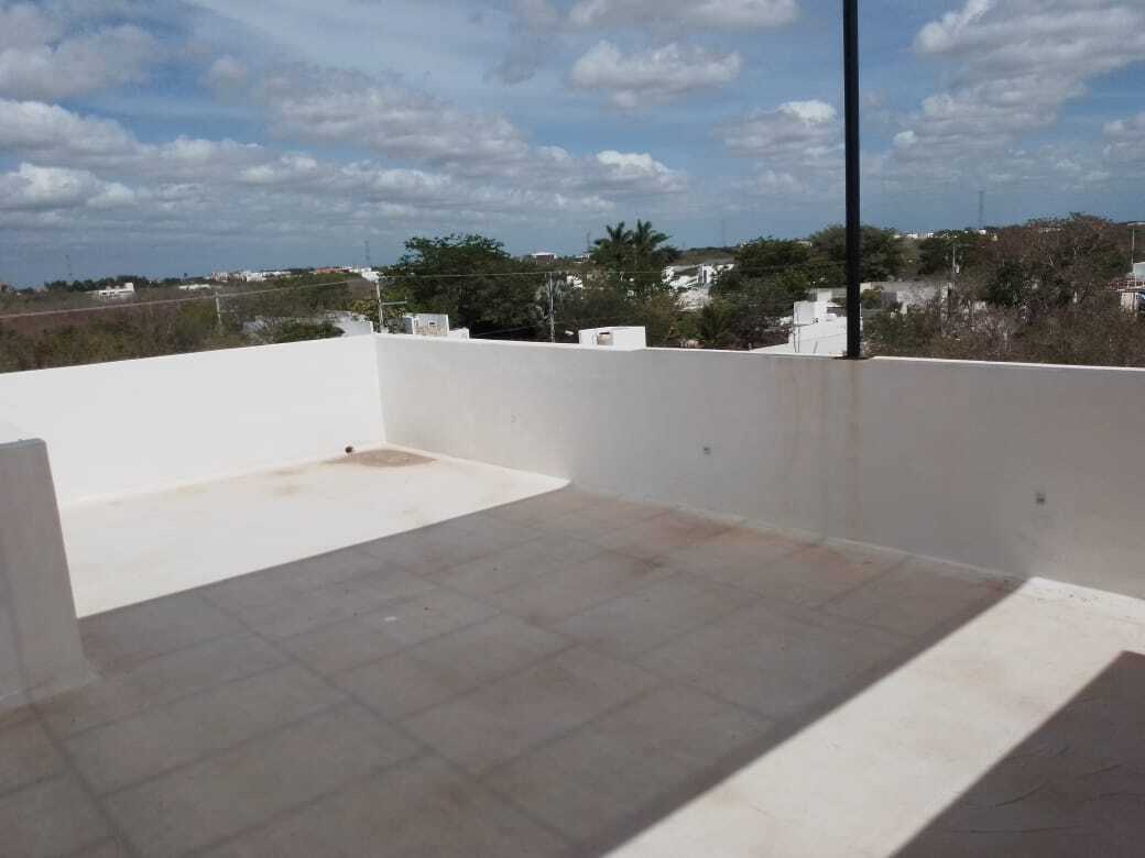 11 de 11