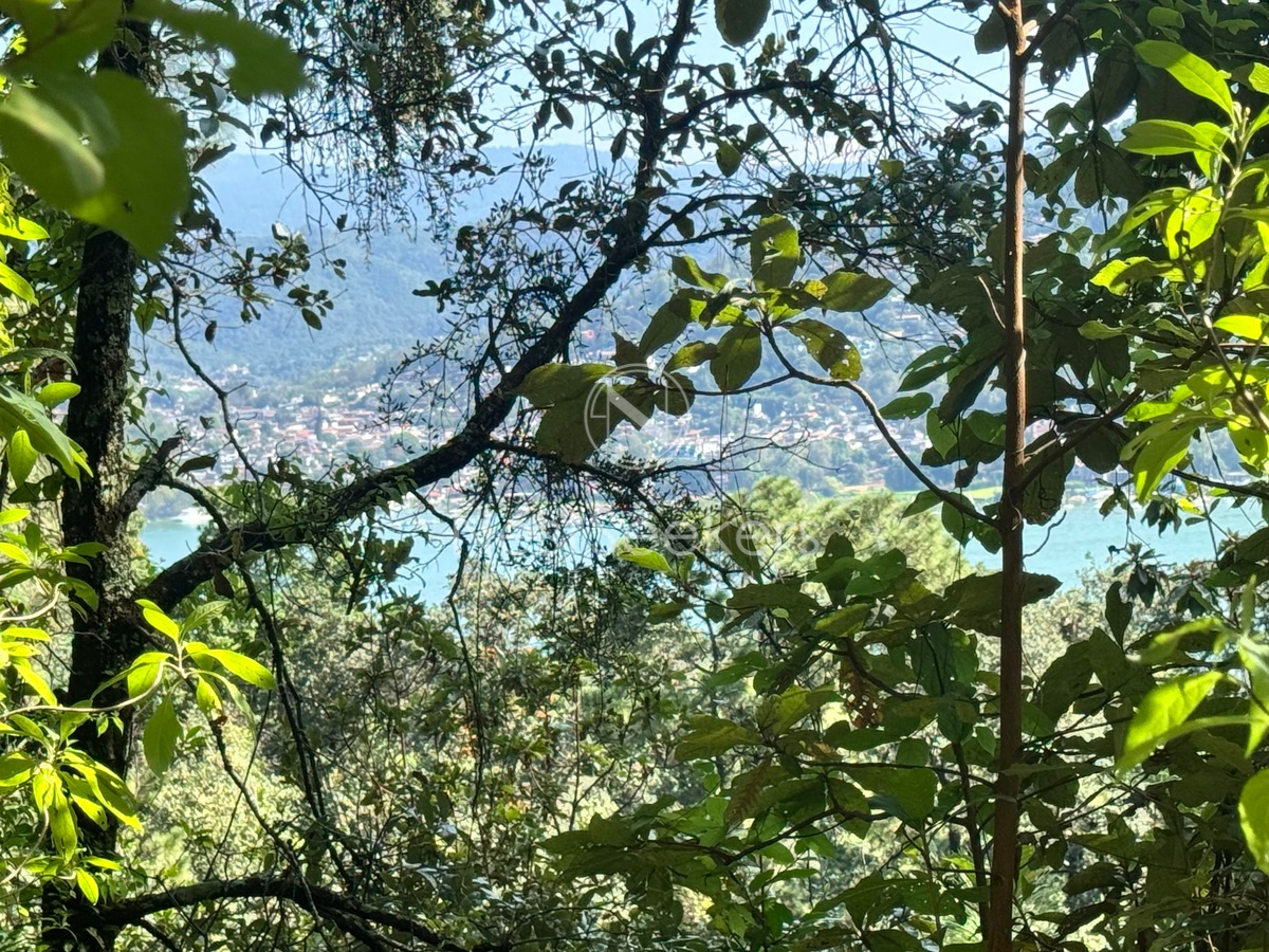 2 de 12