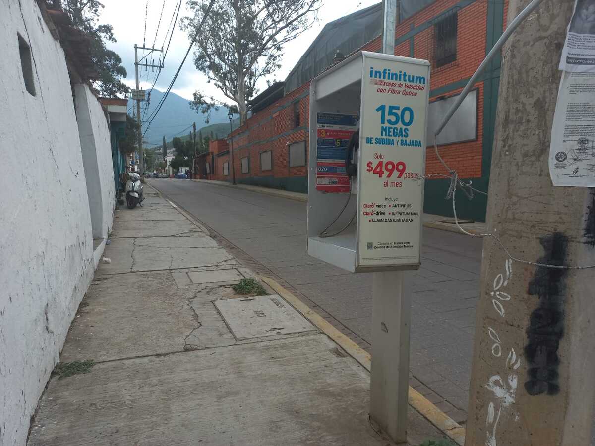 7 de 8